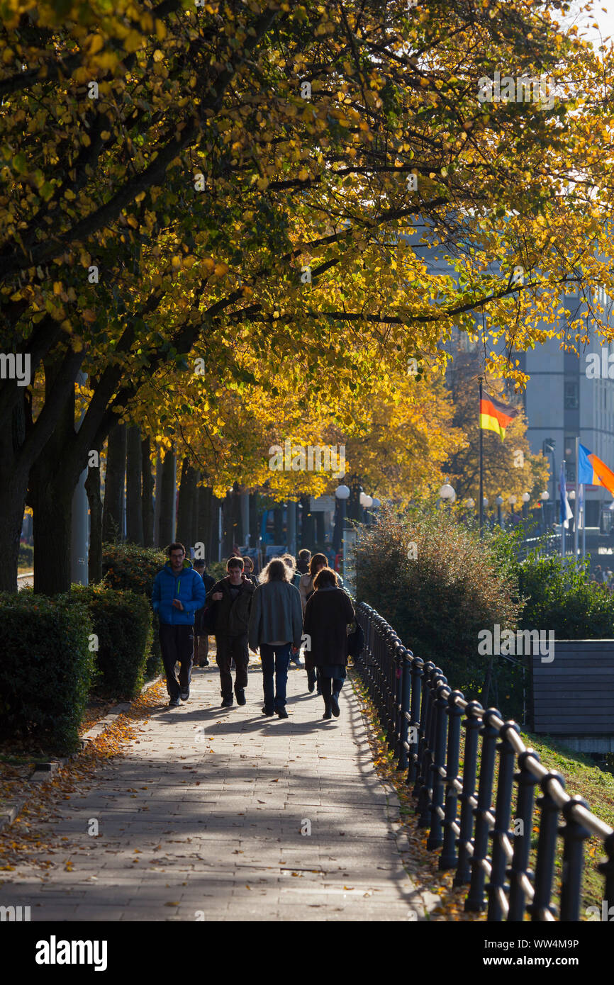 Estado de ánimo en el otoño Ballindamm en el Alster en Hamburgo Foto de stock