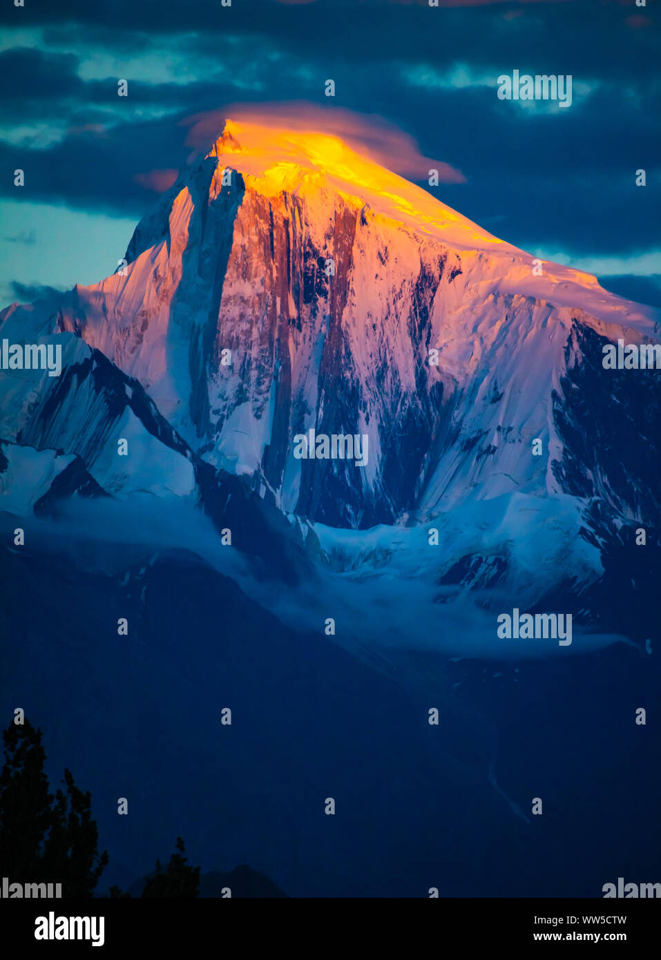 El pico dorado fotografías e imágenes de alta resolución Alamy