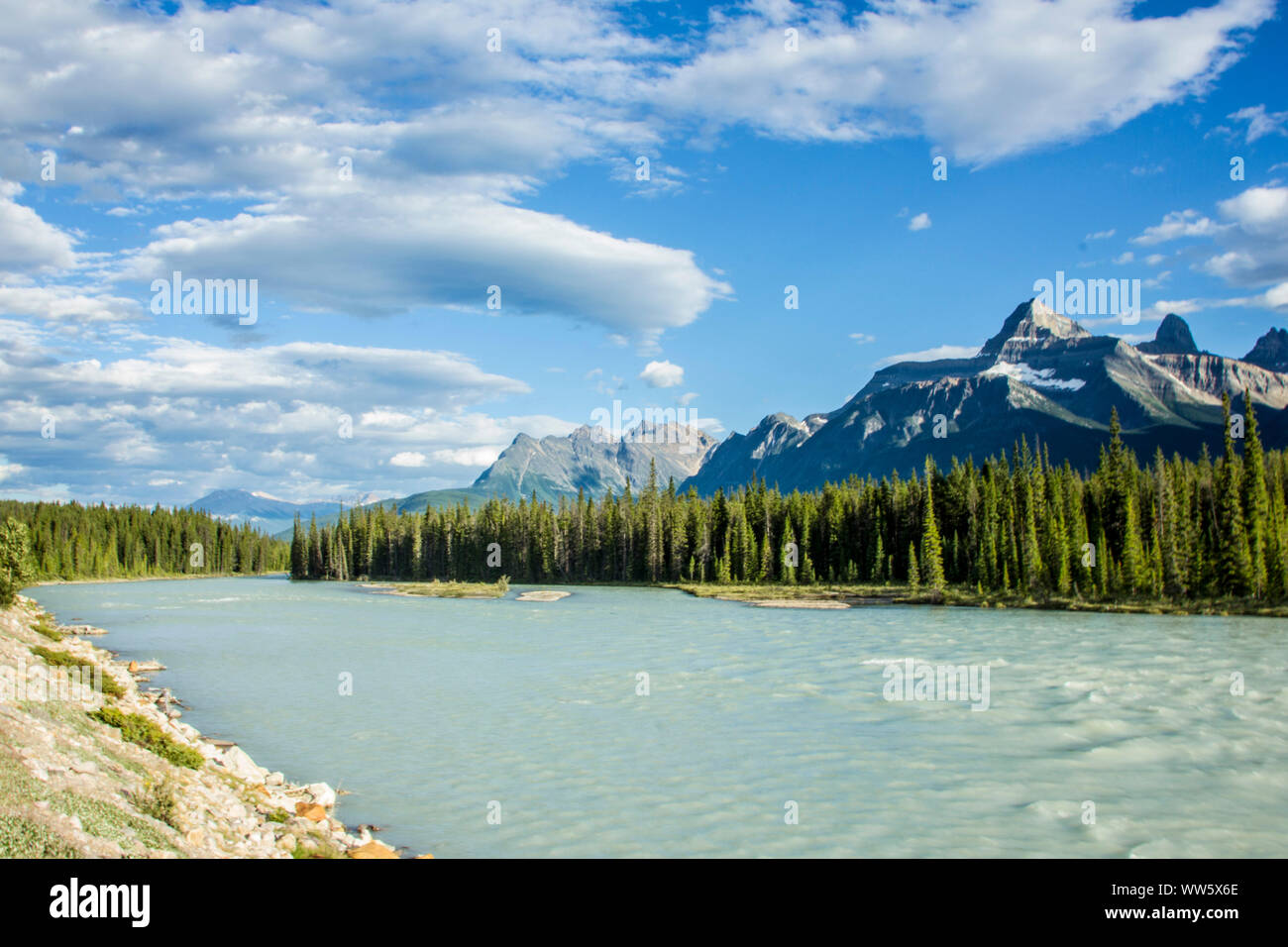 Canadá, Montañas Rocosas, rio con costa bordeada de árboles, montañas de fondo Foto de stock