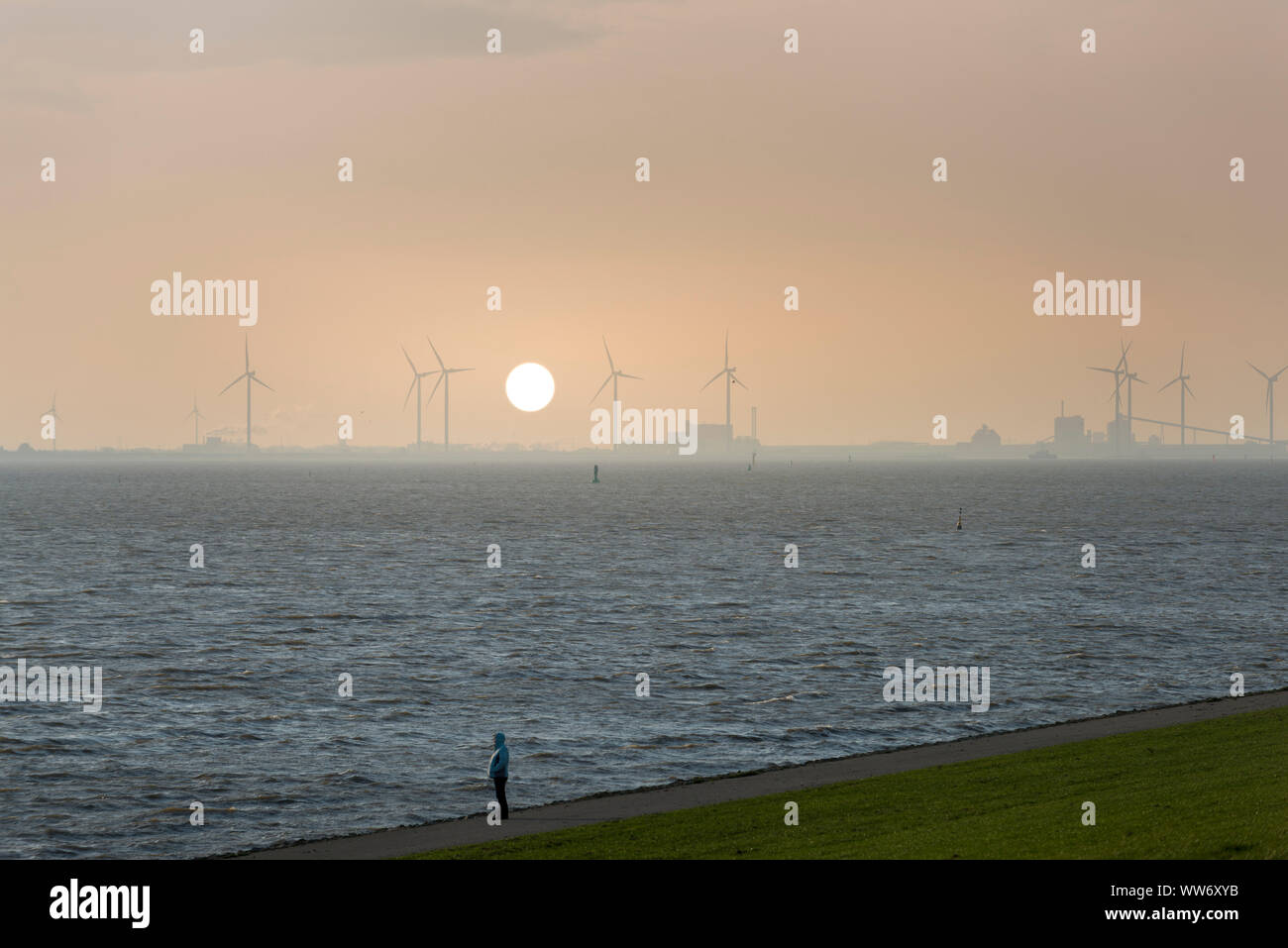 Alemania, Frisia Oriental, planta de energía eólica cerca de Emden Foto de stock