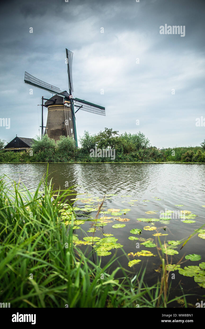 Vista del molino de viento holandés tradicional y paisaje visto desde Kinderdijk Holanda Foto de stock