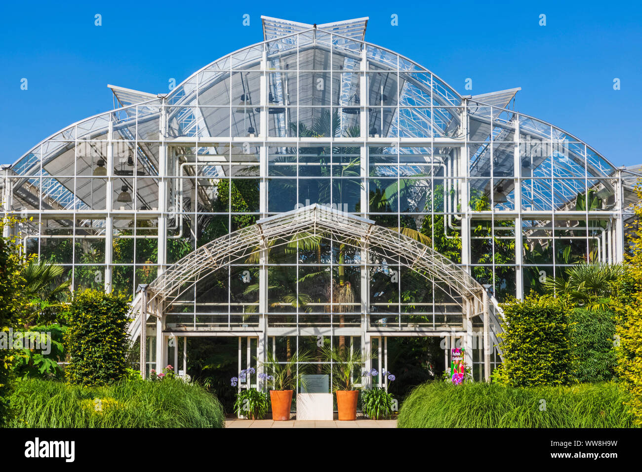 En Guildford, Surrey, Inglaterra, Wisley Royal Horticultural Society, el jardín, el invernadero Foto de stock