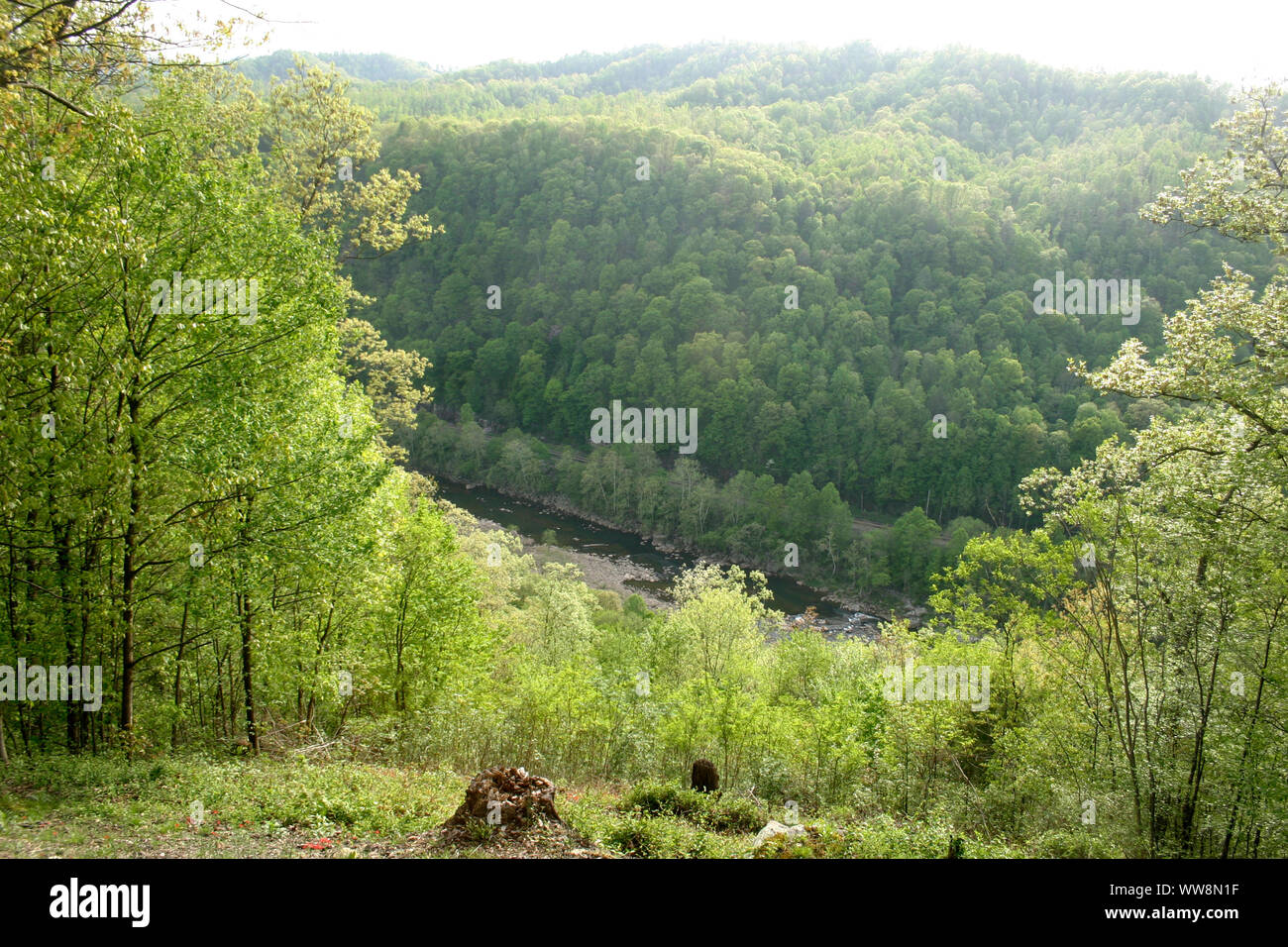 Vista del nuevo río que fluye en un valle entre montañas boscosas en West Virginia, EE.UU. Foto de stock