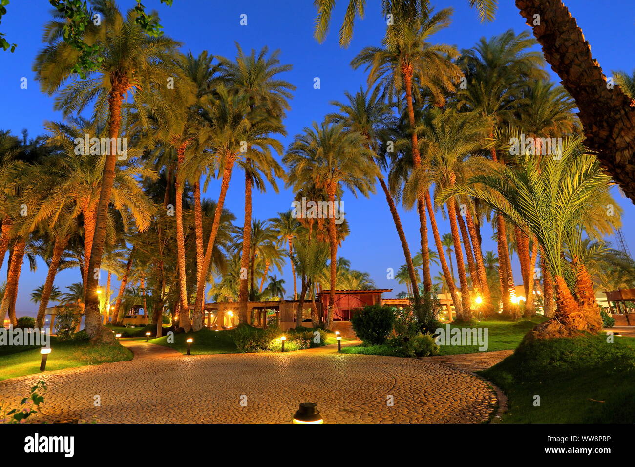 El Palm Garden del Hotel Mercure, cerca de Karnak Luxor, en el Alto Egipto, Egipto Foto de stock