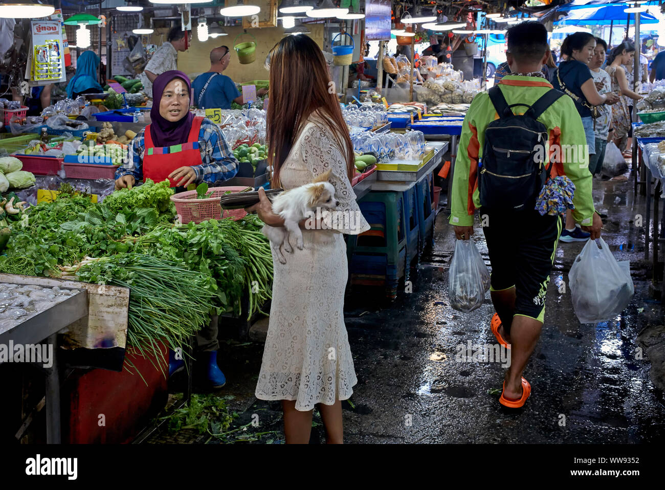 Propietario llevar Perro. Mujer que llevaba el perro. Mimada mascota Chihuahua llevada por el propietario a través de un mercado callejero. Tailandia Sudeste asiático Foto de stock