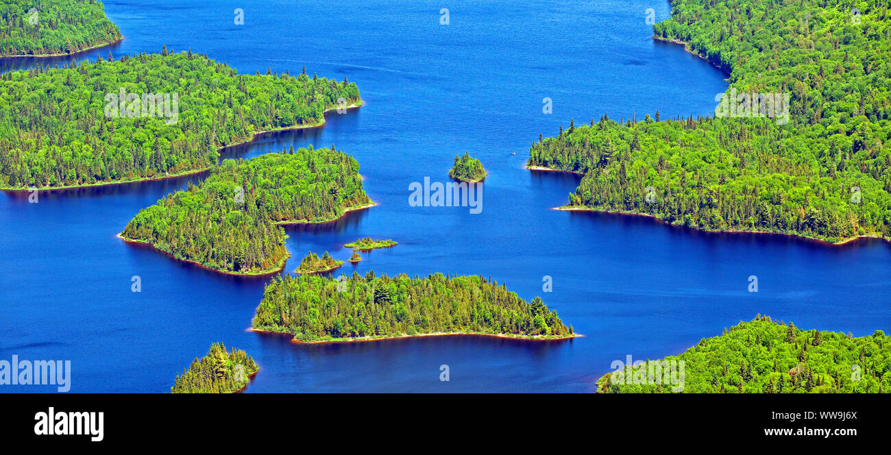 Vista aérea del bosque salvaje Foto de stock