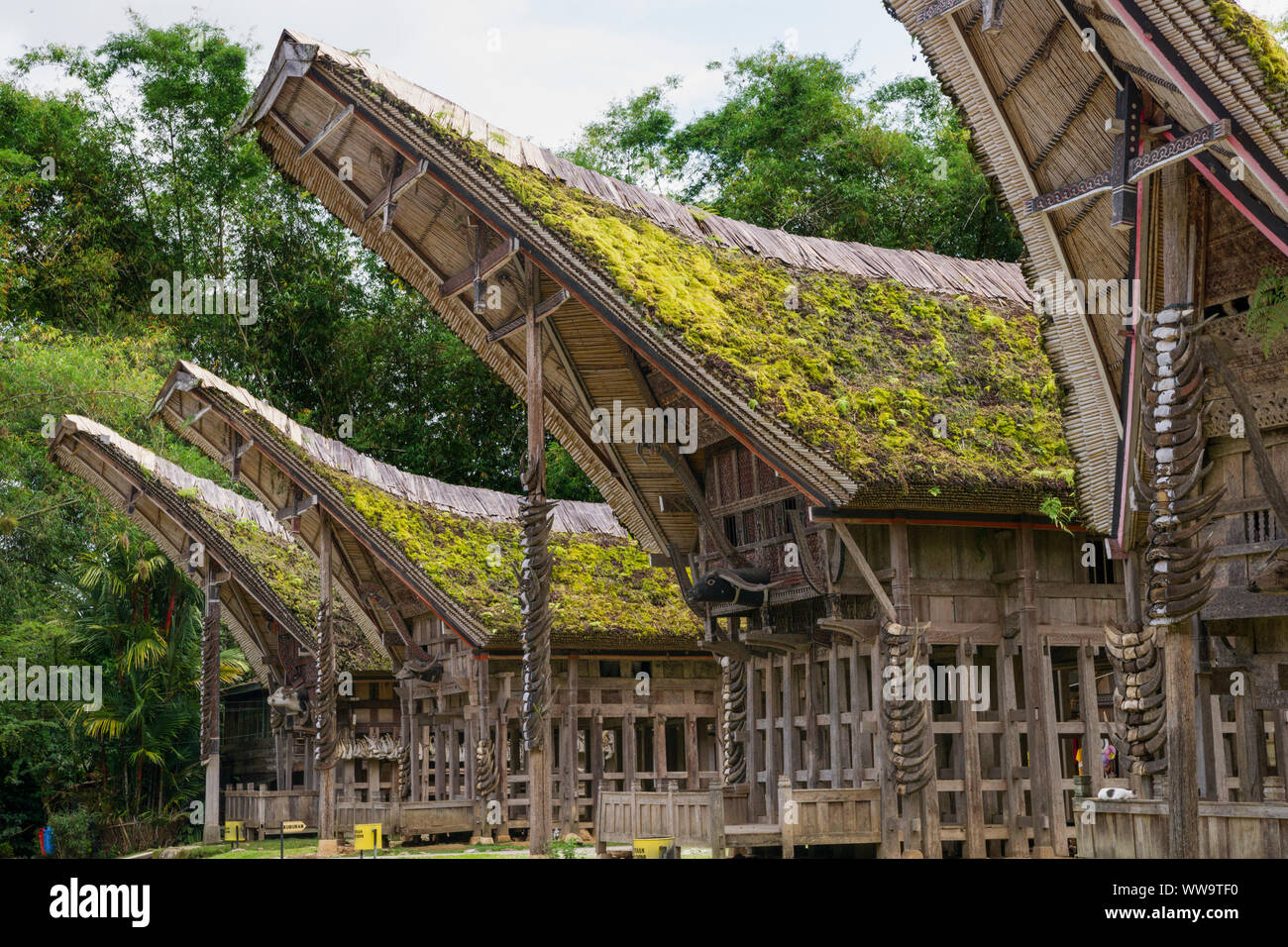 Casas tradicionales, Kete Kesu, Toraja, Sulawesi, Indonesia Foto de stock