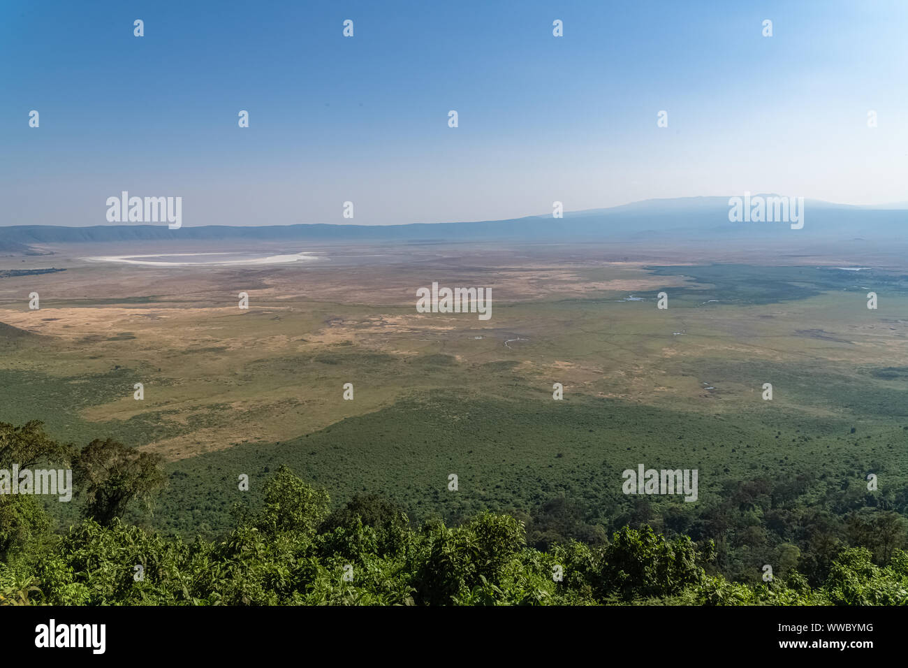 Tanzania, vista del cráter del Ngorongoro, hermosos paisajes con animales diferentes que viven juntos Foto de stock
