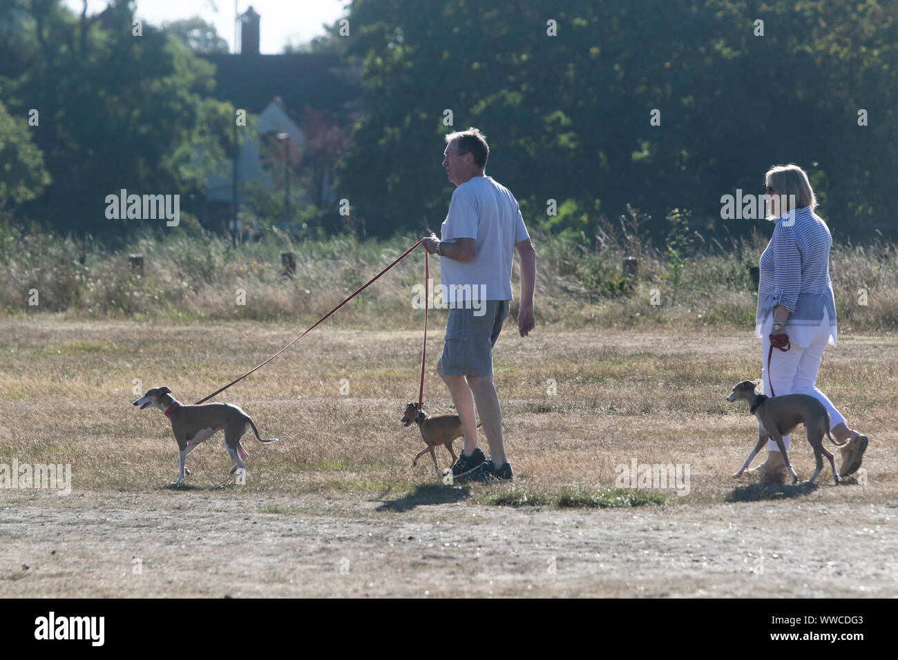 Londres, Reino Unido. El 15 de septiembre de 2019. La gente disfruta paseando sus perros bajo el sol de la mañana en Wimbledon Common Crédito: amer ghazzal/Alamy Live News Foto de stock