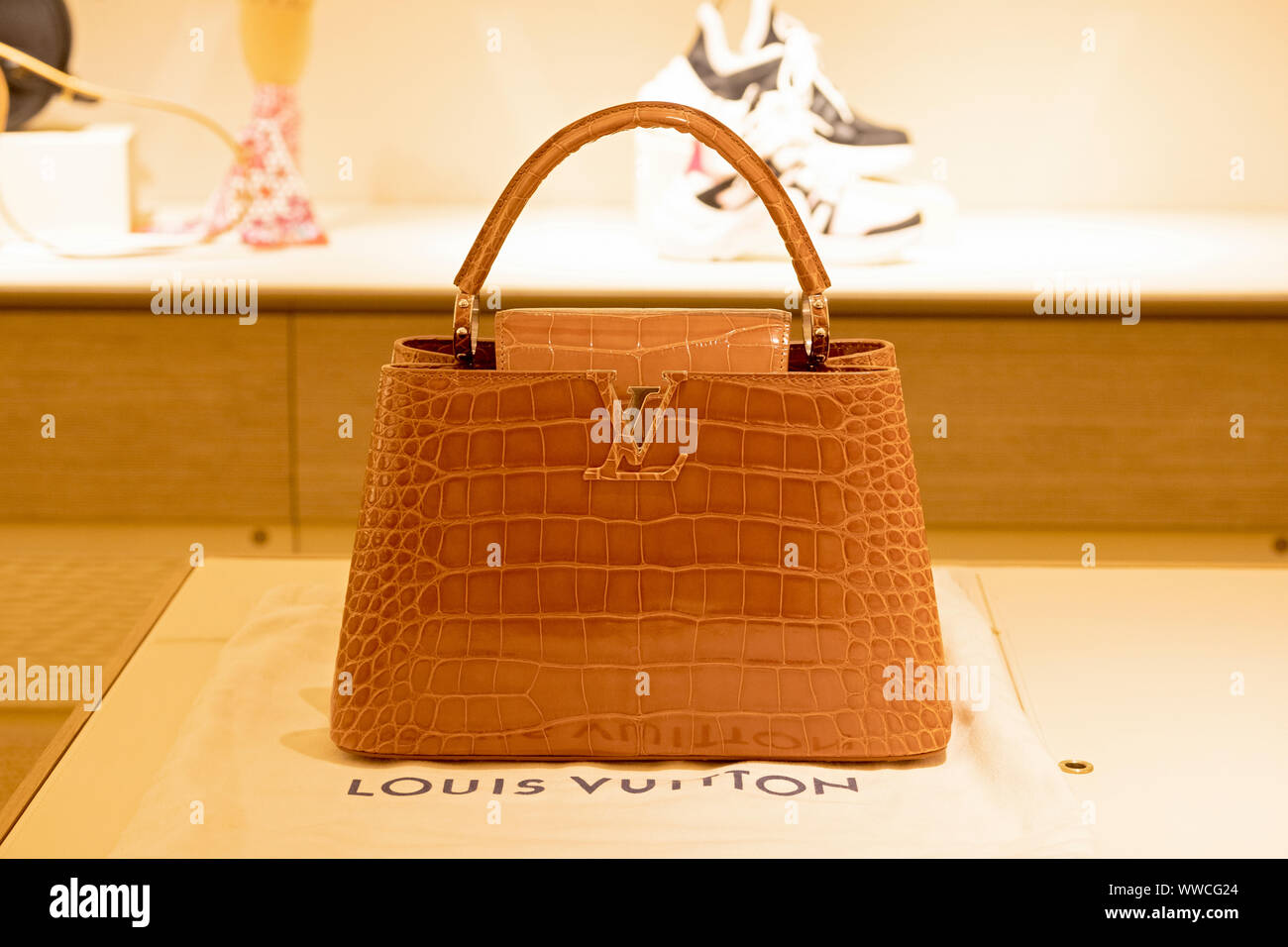 Las mejores ofertas en Exterior de piel Louis Vuitton Bolsas y bolsos para  Mujer