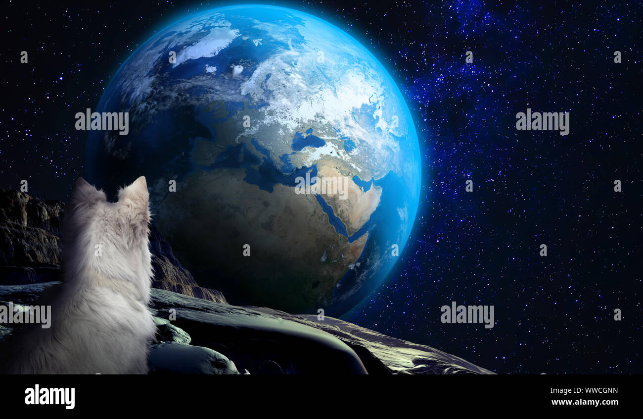 Perro planeta fotografías e imágenes de alta resolución - Alamy