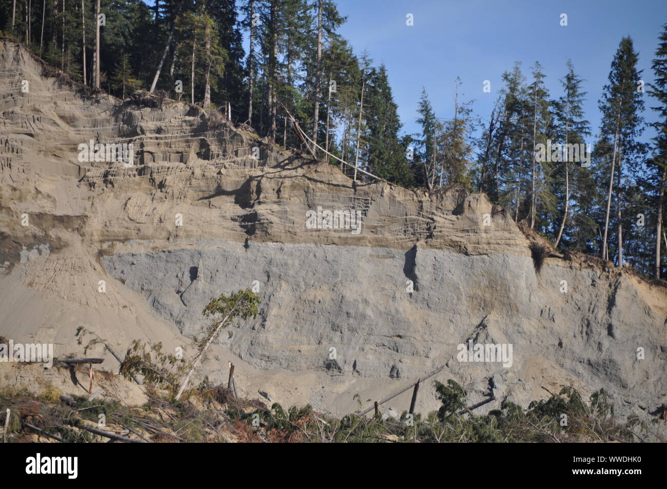Escarillas de la muerte de 2014 Oso Landslide, North Fork Stillaguamish River Valley, Snohomish County, Washington, EE.UU Foto de stock