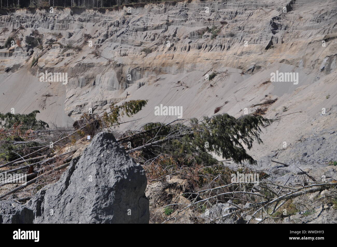 La parte superior del mortal 2014 Oso Landslide, Oso Landslide, North Fork Stillaguamish River Valley, Snohomish County, Washington, EE.UU Foto de stock