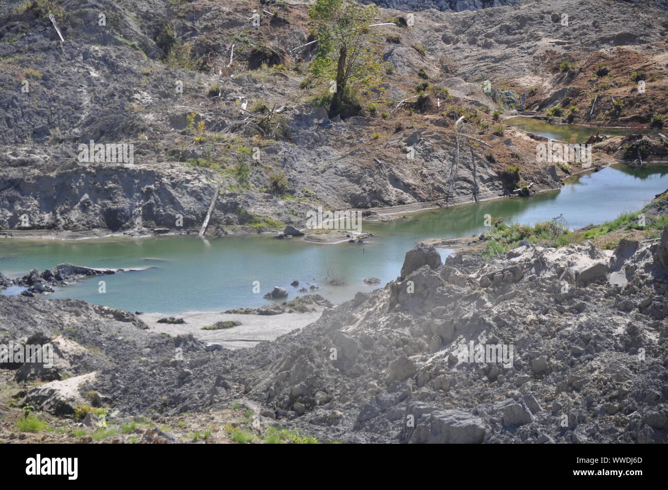 Estanques de Sag, 2014 Oso Landslide, Oso Landslide, North Fork Stillaguamish River Valley, Snohomish County, Washington, EE.UU Foto de stock