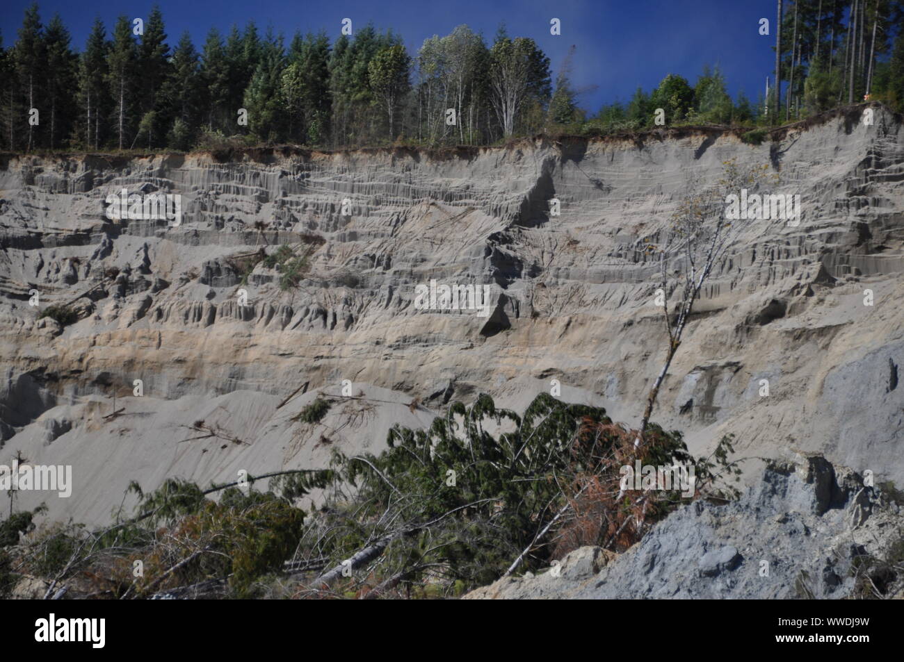 Escarillas de la muerte de 2014 Oso Landslide, North Fork Stillaguamish River Valley, Snohomish County, Washington, EE.UU Foto de stock
