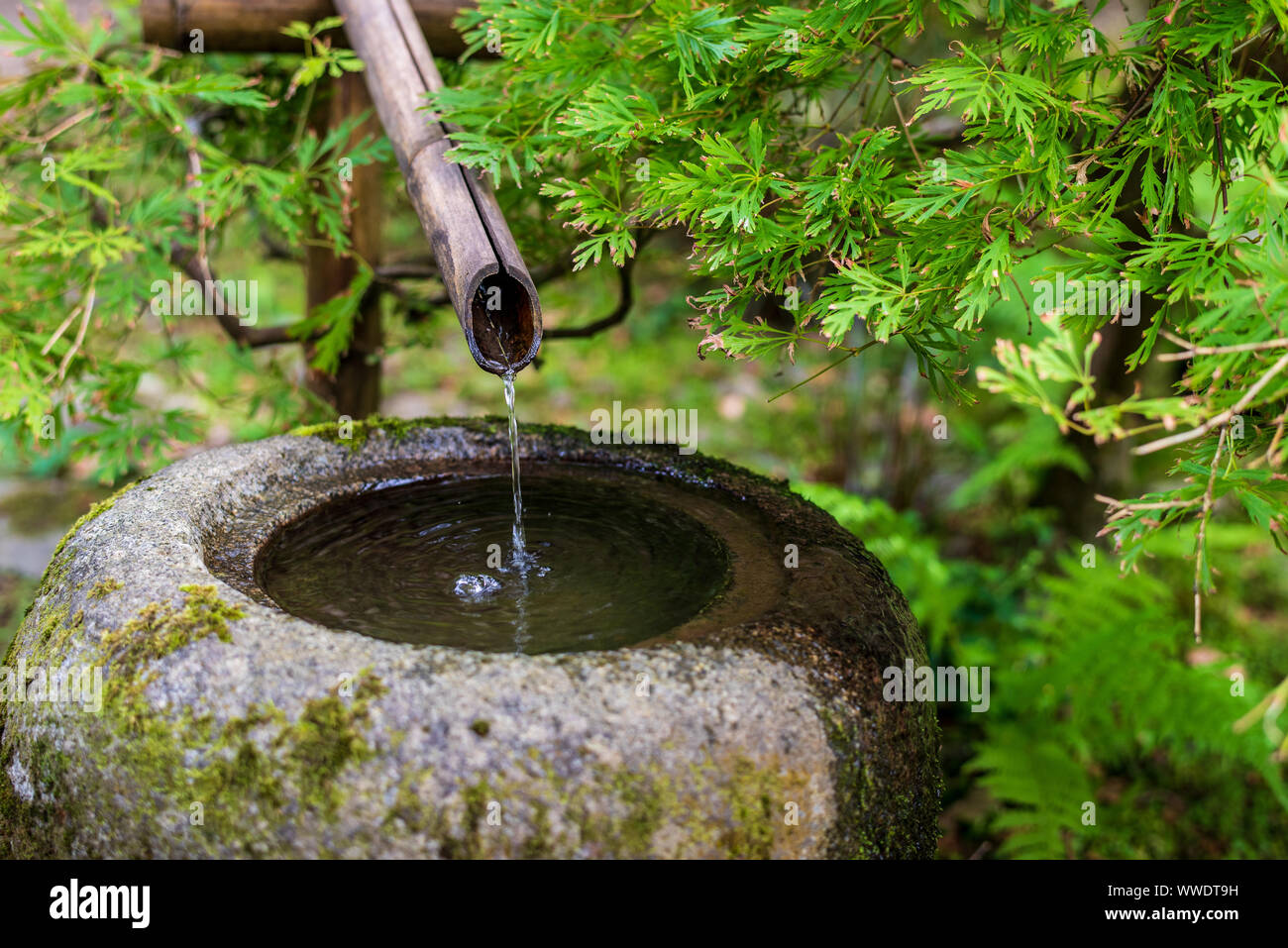 Fuente de agua Zen Bamboo que fluye en un tazón de piedra. Fuente Zen japonesa. Foto de stock