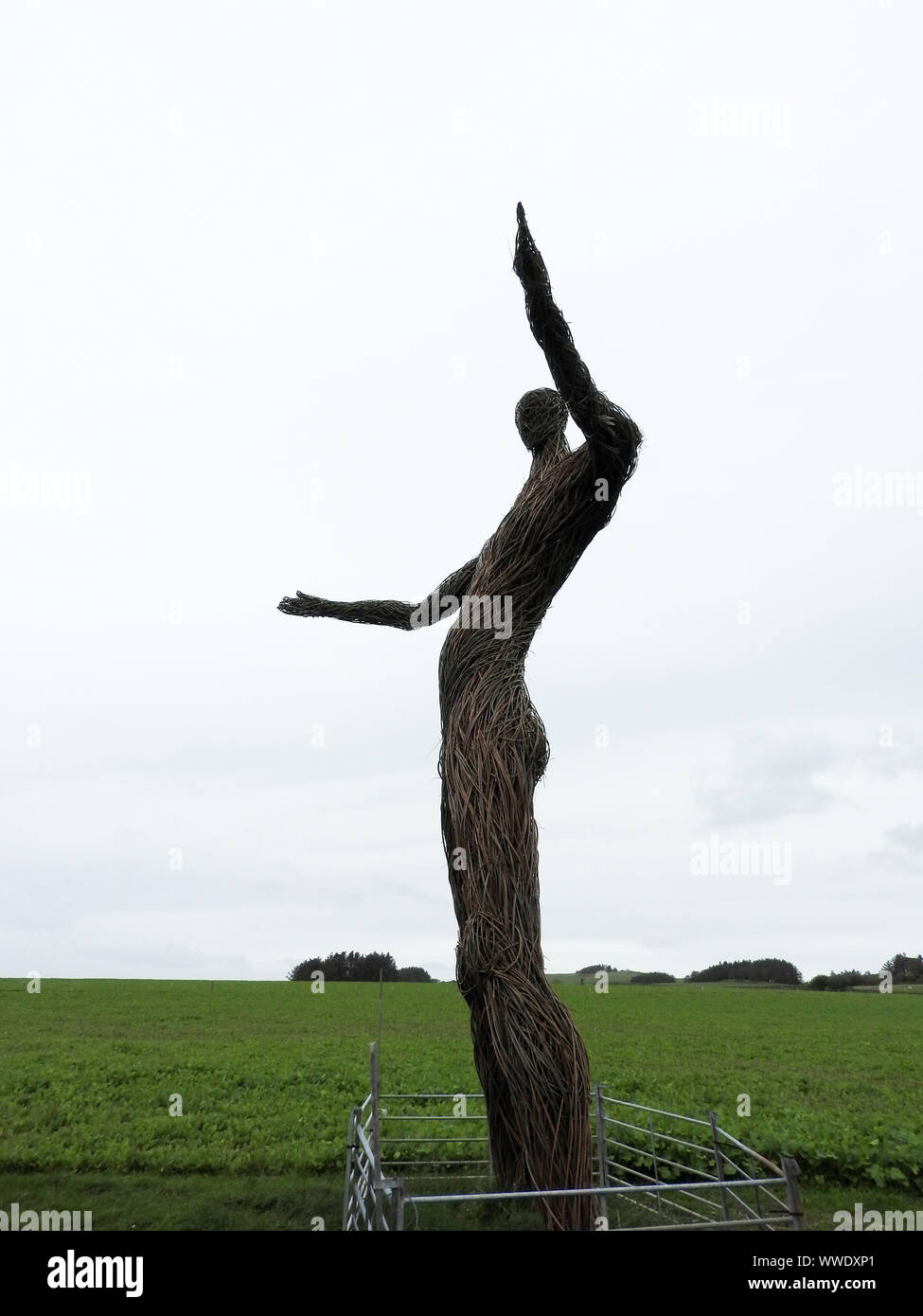 2019 - La imagen de una vista lateral de la enorme figura en el Wickerman Wickerman Festival Dunfrennan, campo cerca de Dumfries y Galloway. (Rodeada por una valla de agricultores normal) Foto de stock