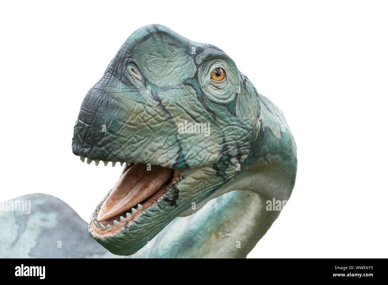 Brontosaurus aislado sobre fondo blanco. Brontosaurus es un dinosaurio herbívoro vivió en el periodo jurásico Foto de stock