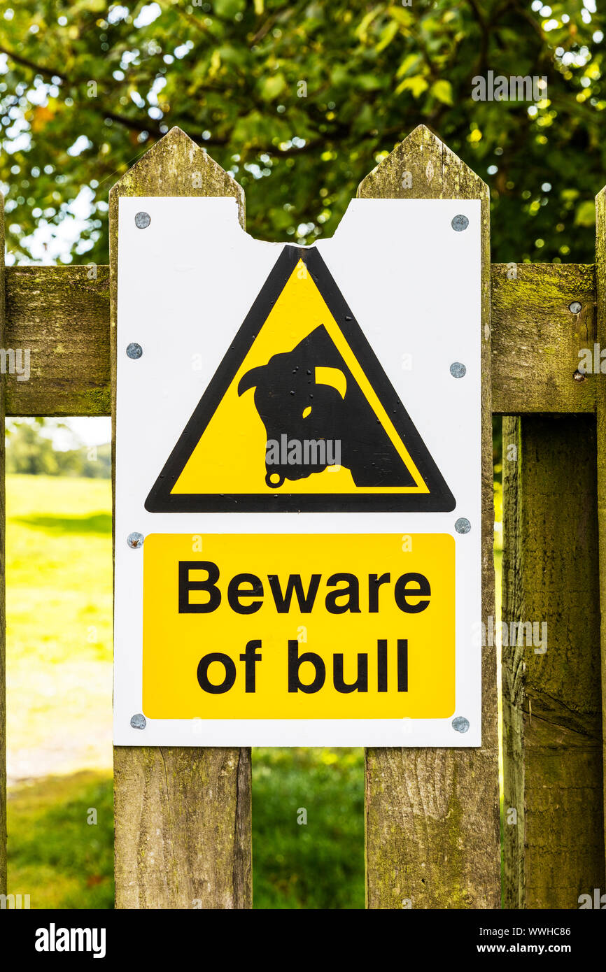 Cuidado con el signo de Toro Toro, desconfíe de signo, ten cuidado con el toro, cuídese de Bull, peligro, animales peligrosos, cuidado, atención, advertir, Bull, firmar, signos Foto de stock