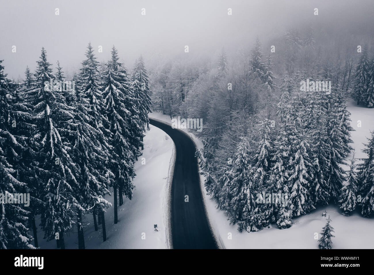 Carretera de invierno en el bosque. Vista aérea de la sinuosa carretera de montaña en Cheia, Rumania Foto de stock