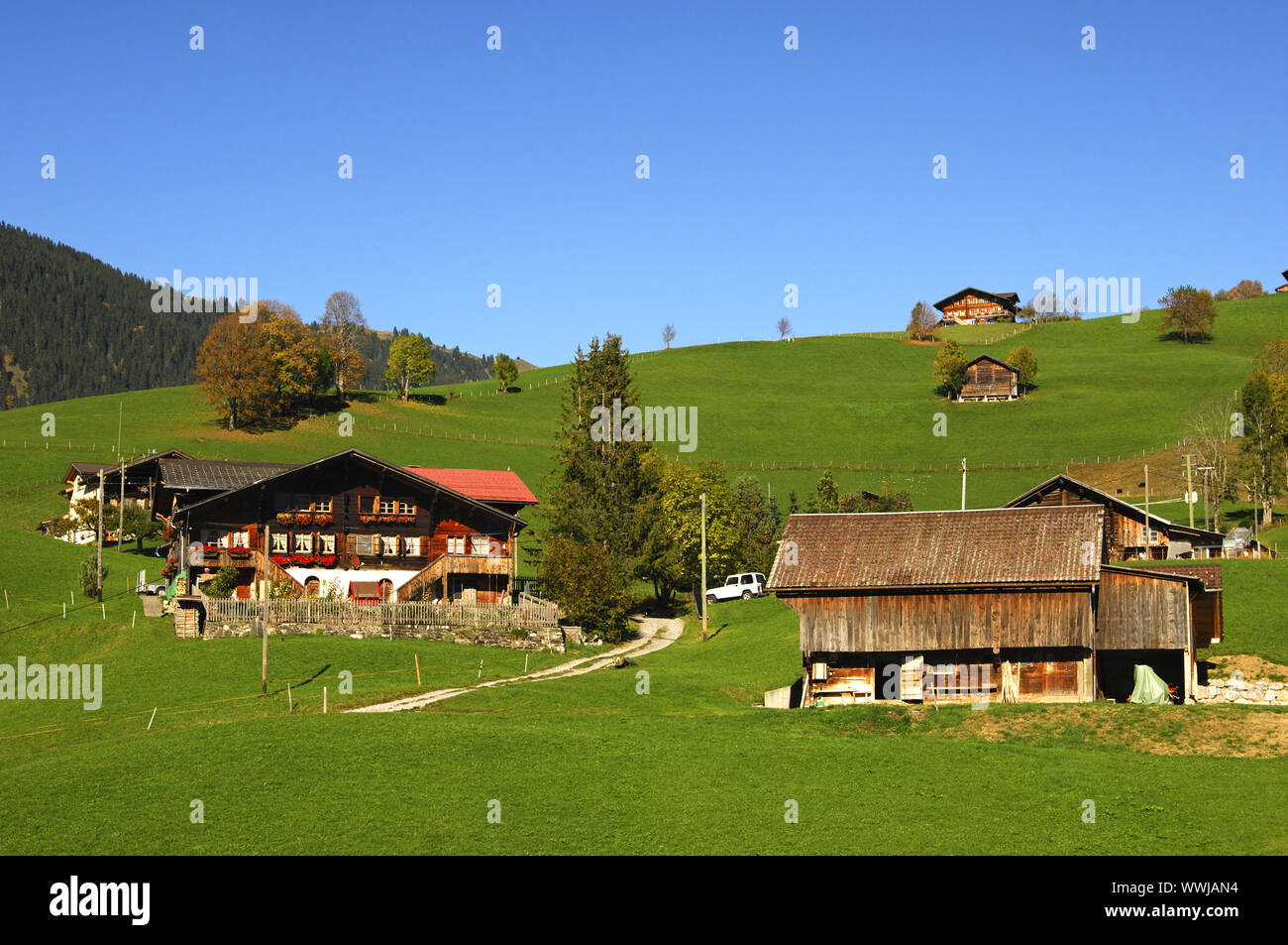 Cerca de la granja de Gstaad. Foto de stock