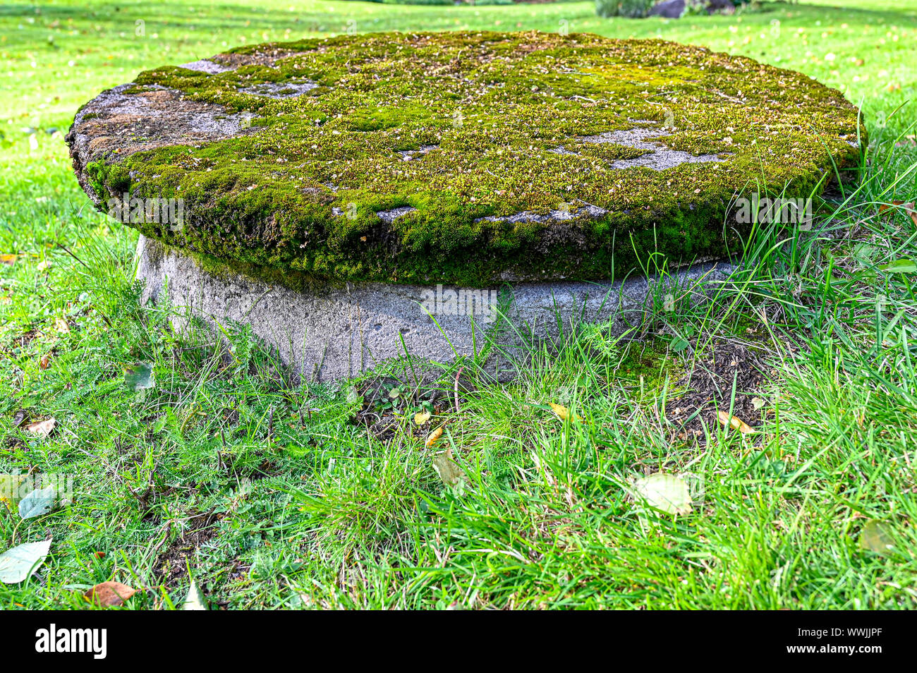 tapa a bien cubierto de musgo verde Foto de stock