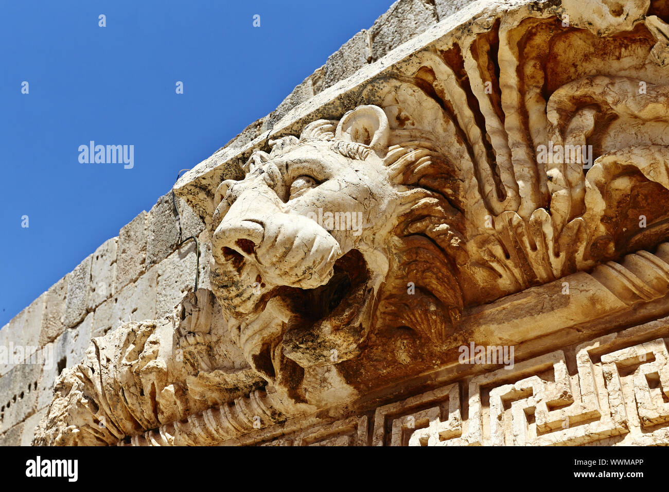 Baalbek lion (Templo de Júpiter), Baalbek, Líbano Foto de stock