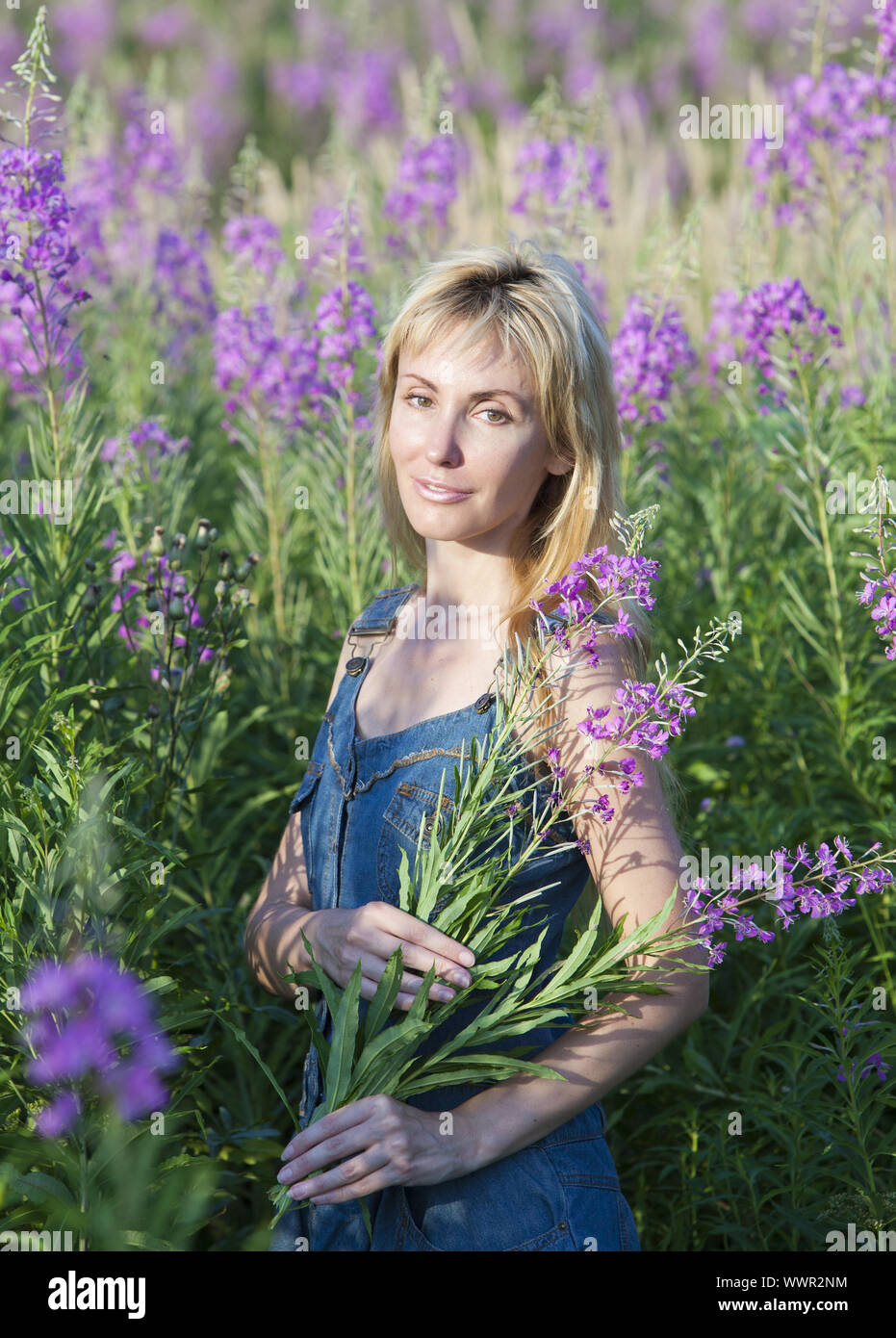 El sonriente joven mujer con ramo de flores willowherb en el campo Foto de stock