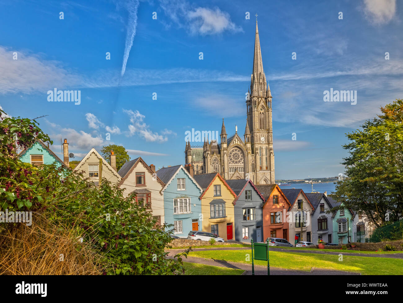 Impresión de la Catedral de San Colman's en Cobh, cerca de Cork, Irlanda Foto de stock