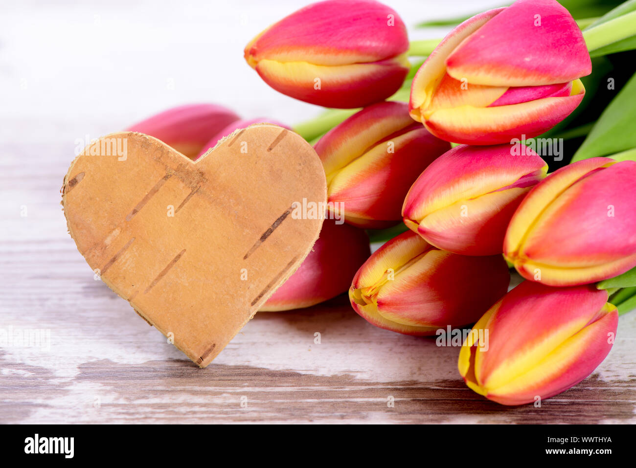 Día de San Valentín hombre sostiene flores en racimos de color rojo corazón  amor de fondo. Tarjeta de San Valentín Fotografía de stock - Alamy