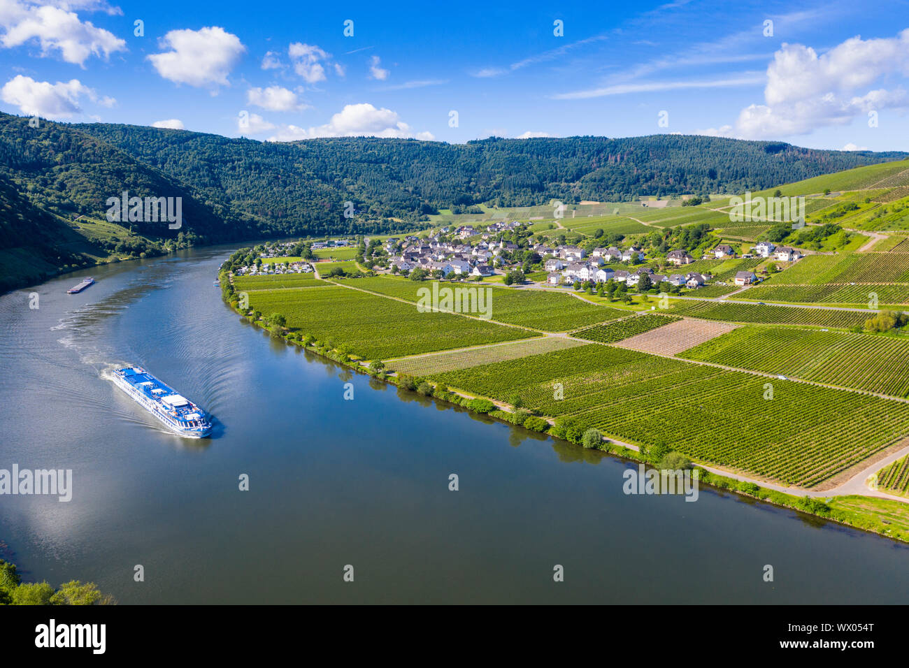 Crucero en el río Mosela a Mehring, valle de Mosela, Renania-Palatinado, Alemania, Europa Foto de stock