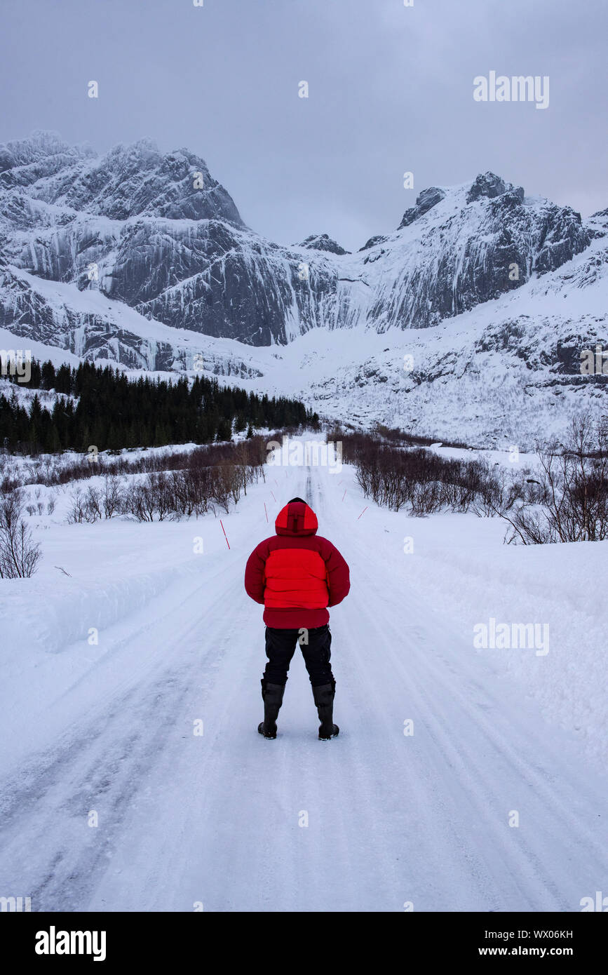 Macho en el camino cubierto de nieve en invierno ártico condiciones con montaña volver drop, Lofoten, Nordland, ártico, Noruega, Europa Foto de stock