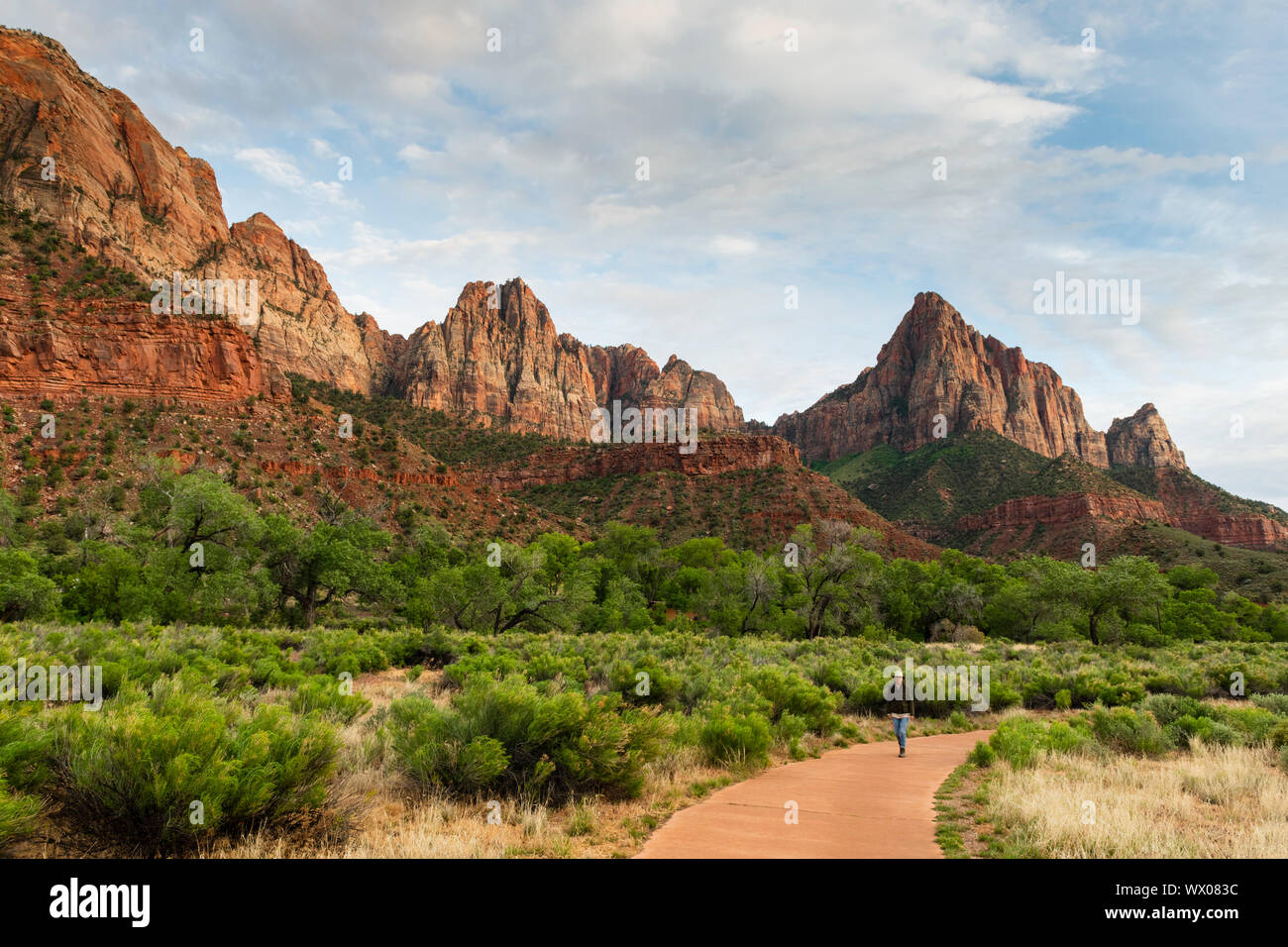El Vigilante, El Parque Nacional de Zion, Utah, Estados Unidos de América, América del Norte Foto de stock