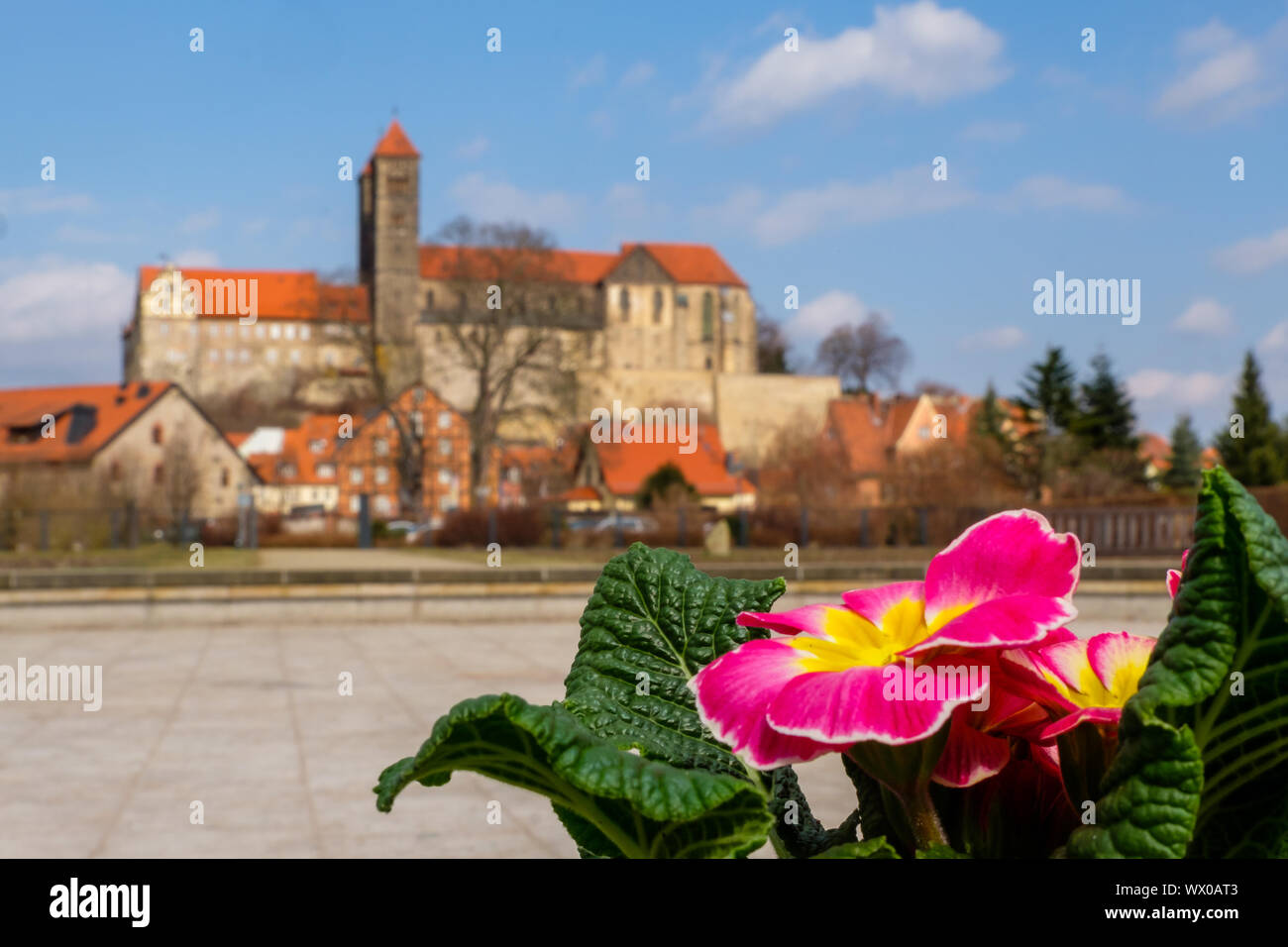 Vista del castillo de Quedlinburg en primavera Foto de stock