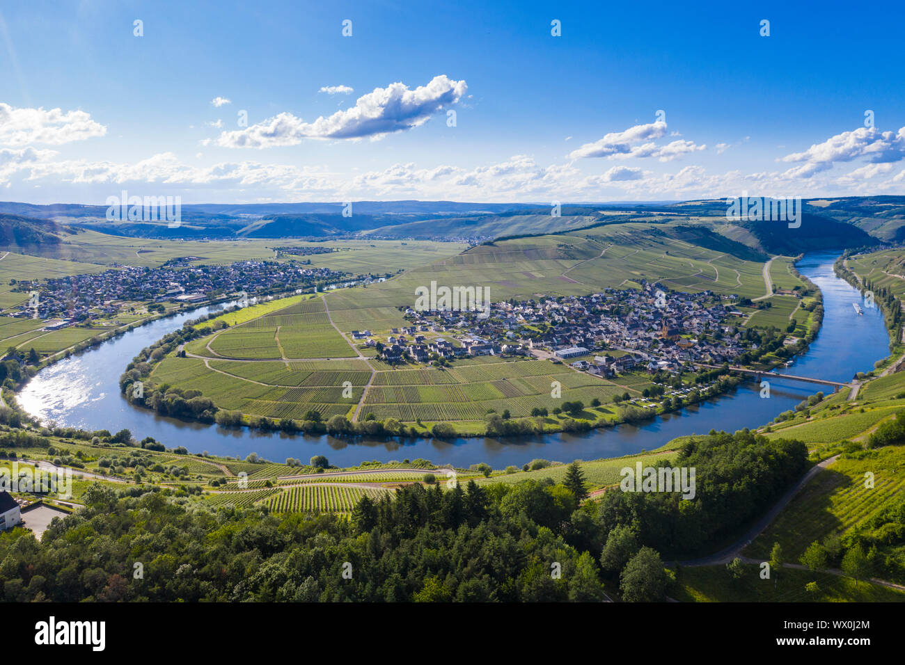 El Mosela en Trittenheim, valle de Mosela, Renania-Palatinado, Alemania, Europa Foto de stock