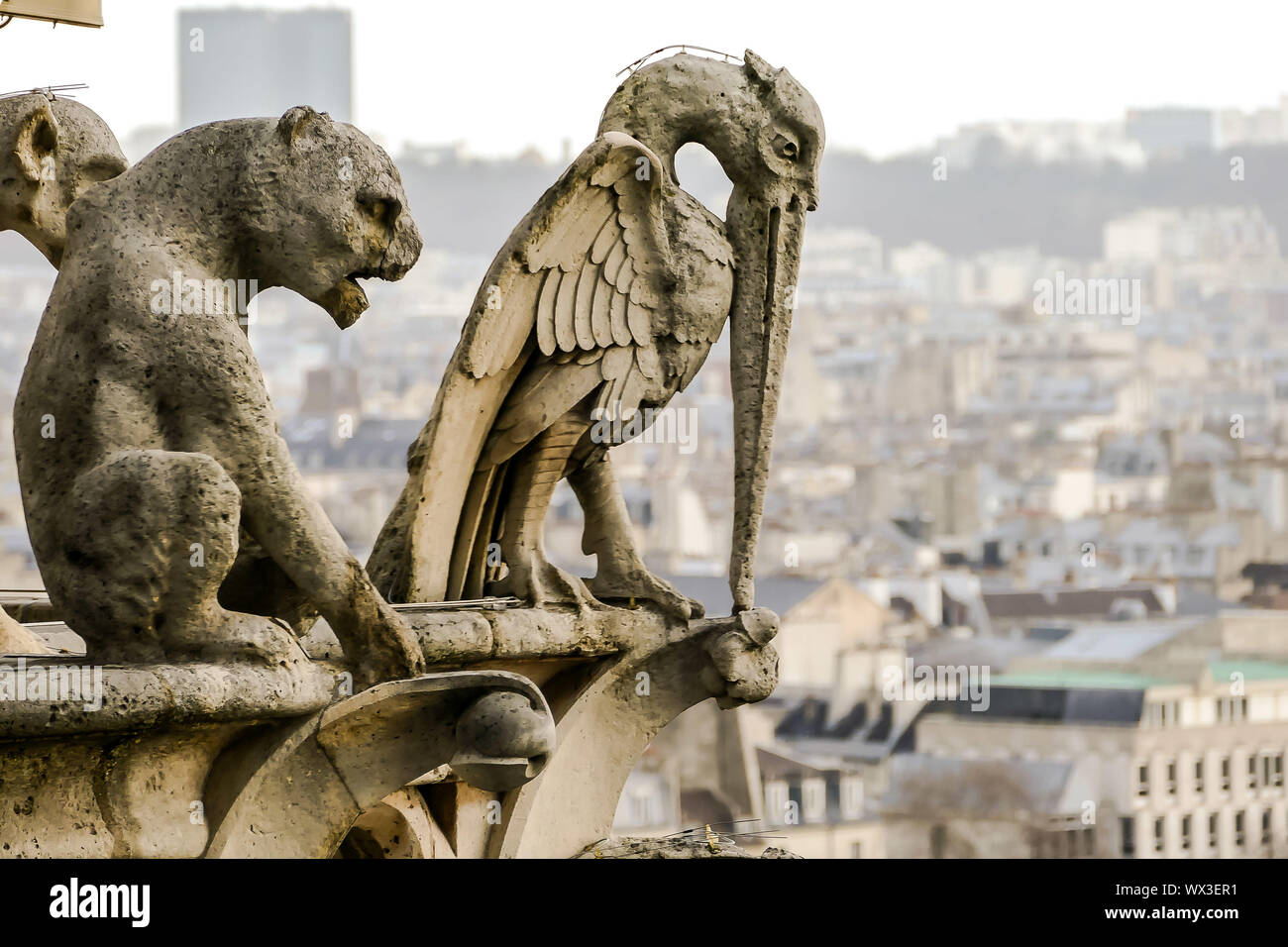 La catedral de Notre Dame de París iglesia catedral detalle, imagen fotográfica de una hermosa vista panorámica de la ciudad metropolitana de París Foto de stock