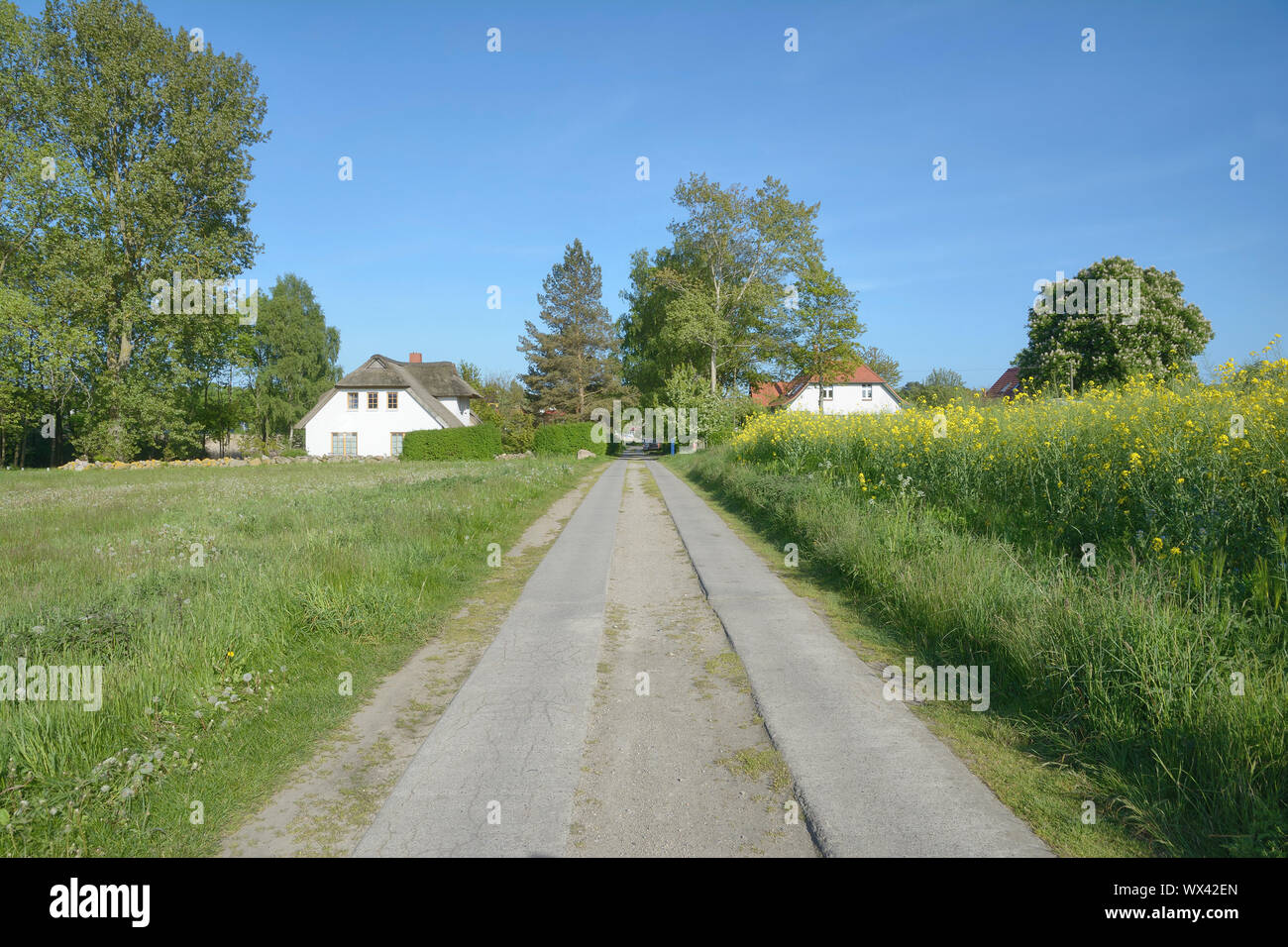 Camino pavimentado tradicionales realizados con losa de hormigón,Ruegen, Mar Báltico, Alemania Foto de stock