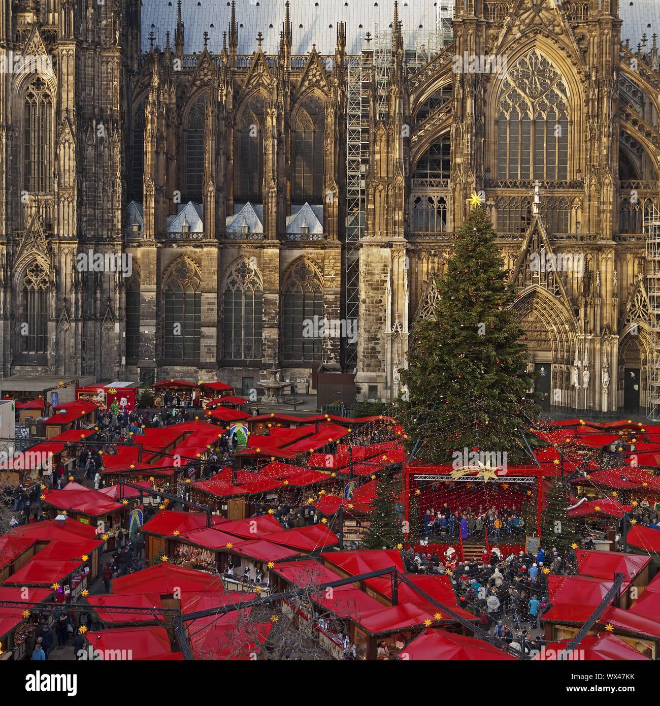 Mercado de Navidad en la Catedral de Colonia, Colonia, Renania del Norte-Westfalia, Alemania, Europa Foto de stock