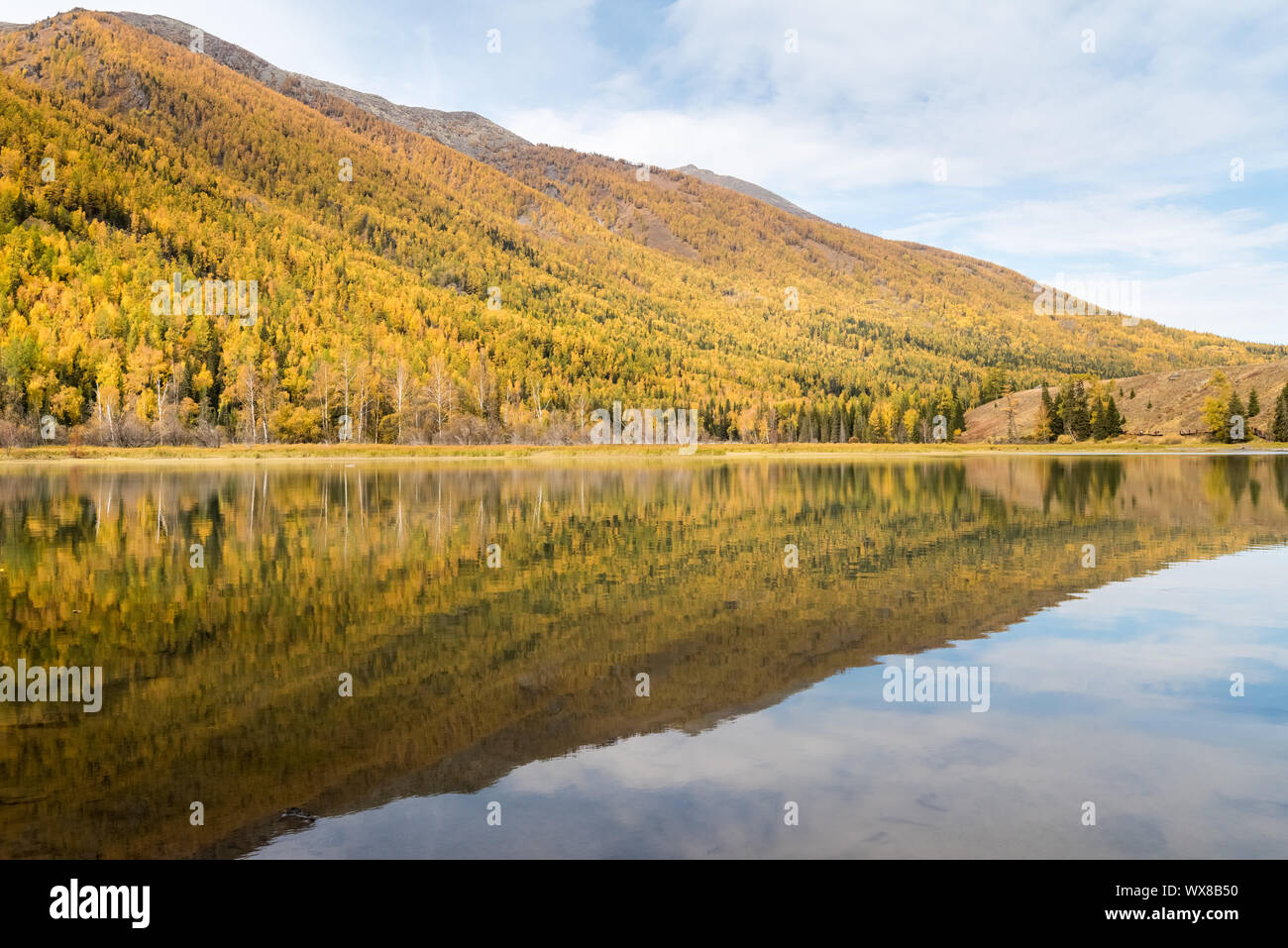 Otoño bosque de montaña y reflexión Foto de stock