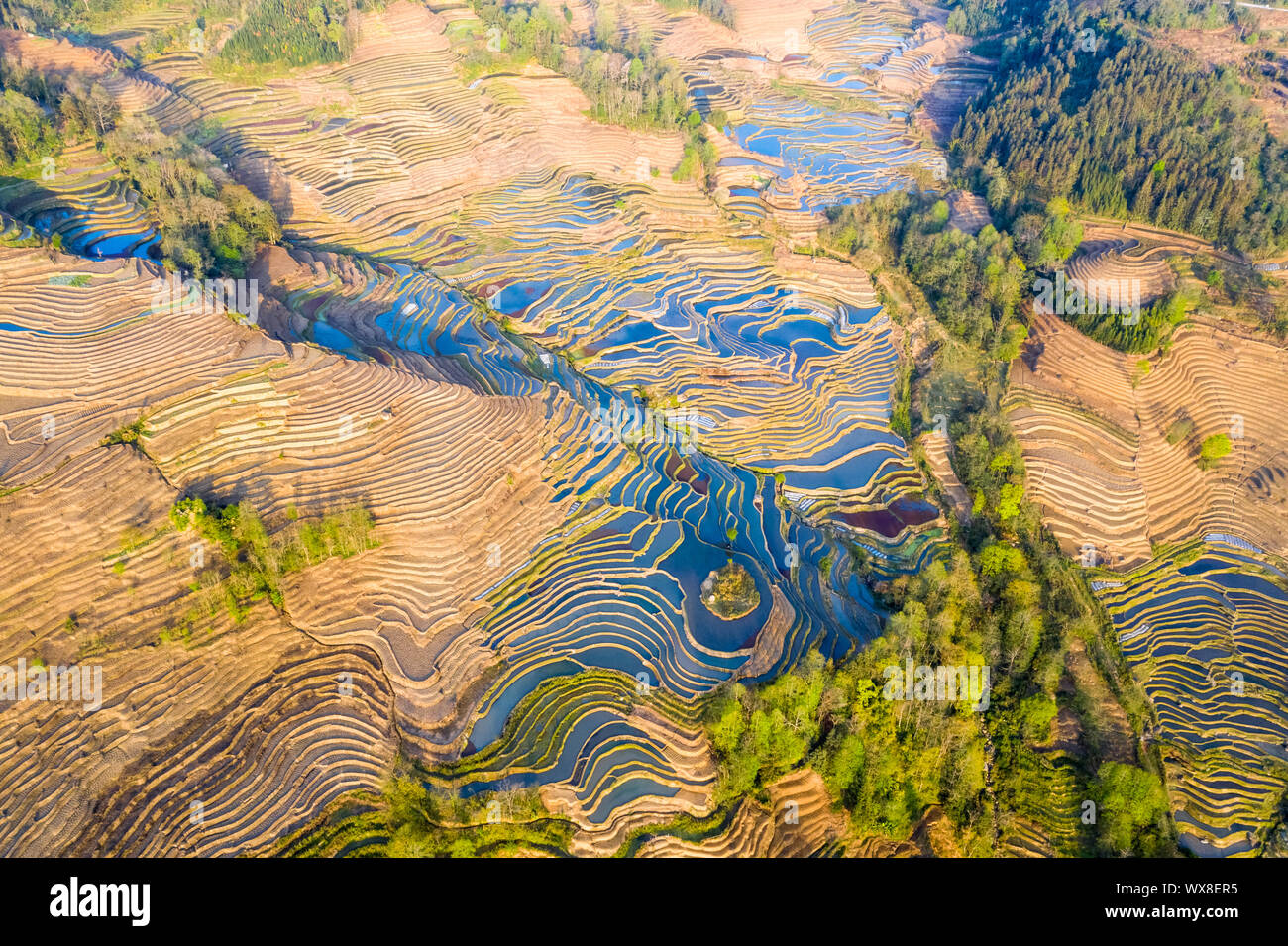 Hermoso paisaje de campos de terrazas Foto de stock