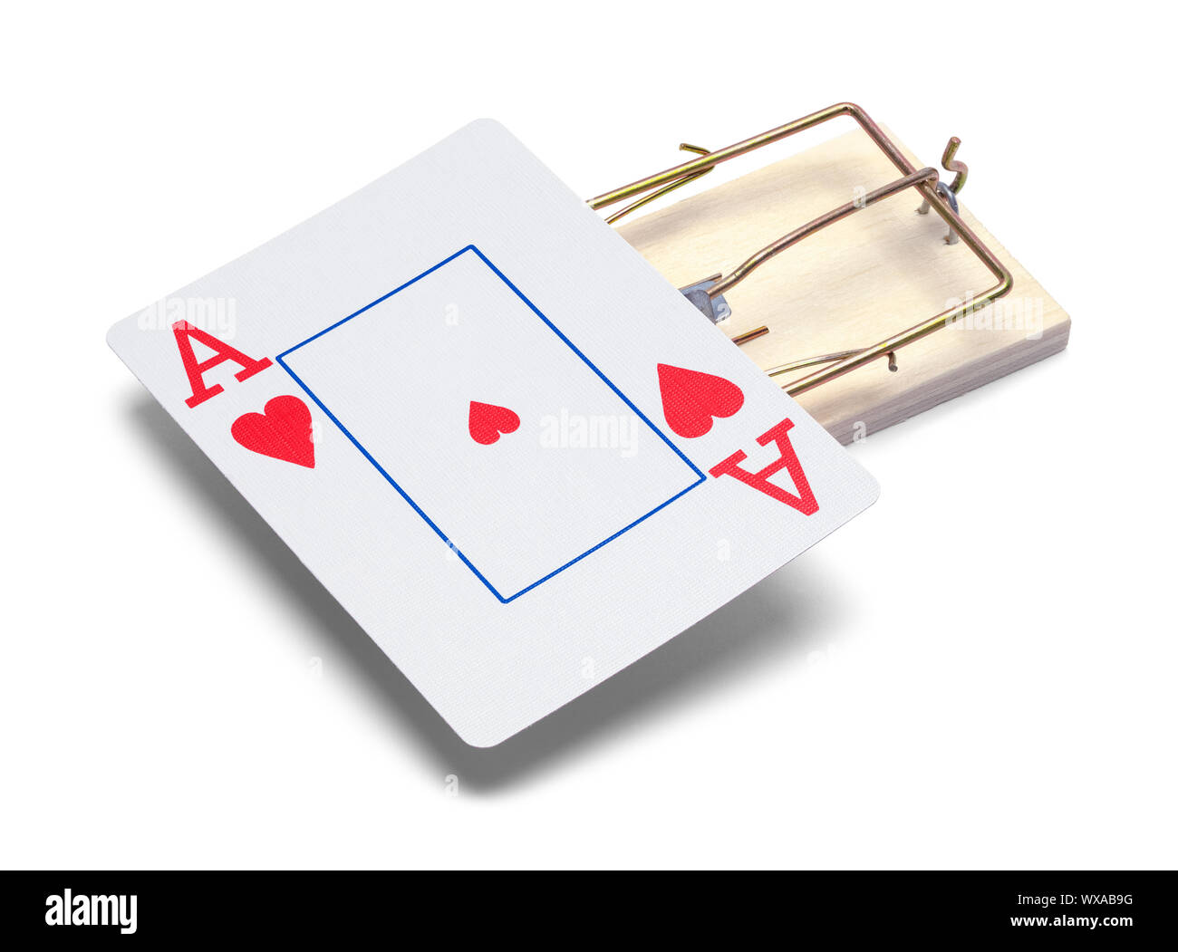 Trampa de ratón con tarjeta Ace rojo aislado en blanco. Foto de stock