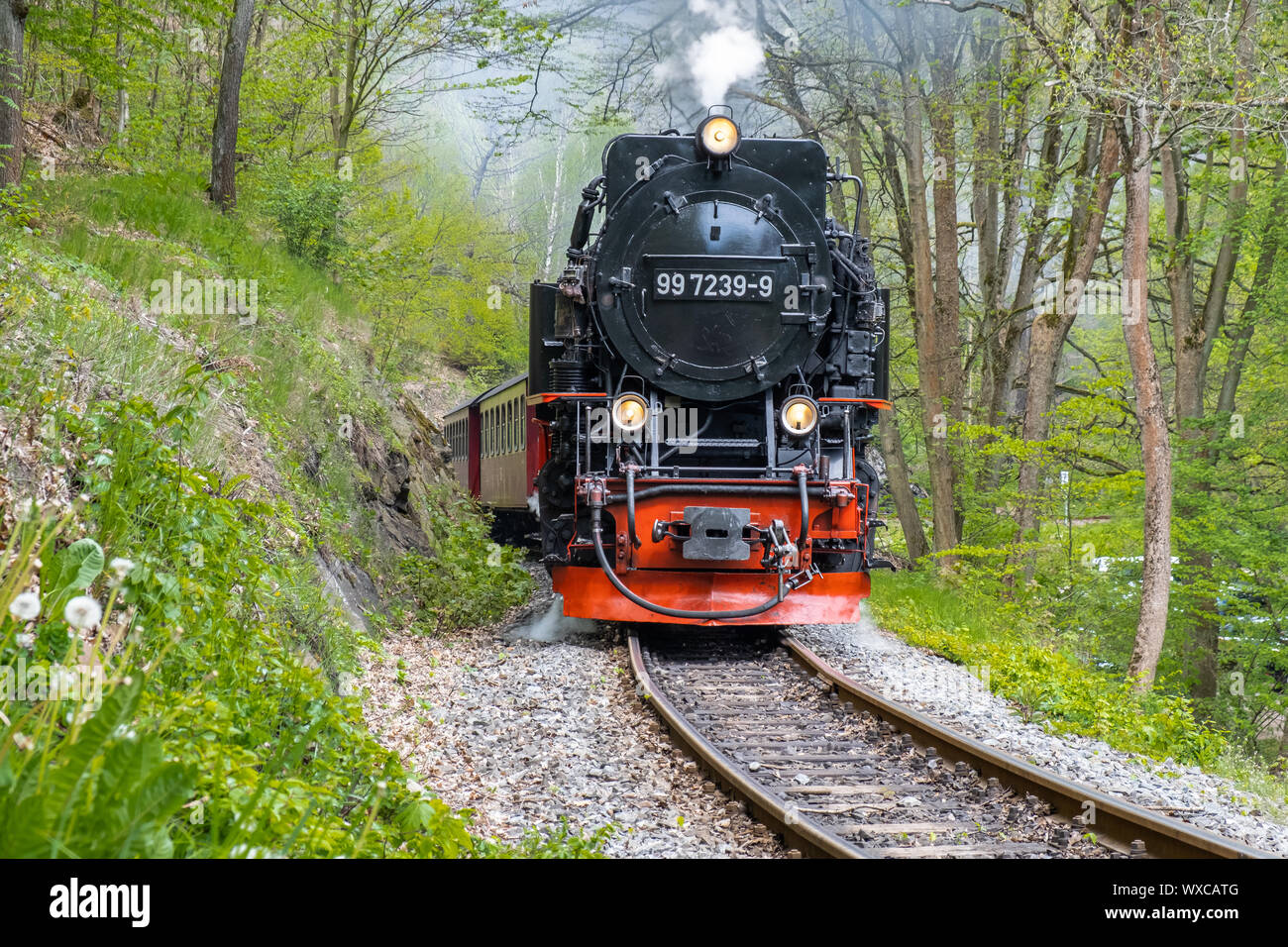 Romance de ferrocarril en el Harz Selketal ferrocarriles de vía estrecha en las montañas de Harz Foto de stock