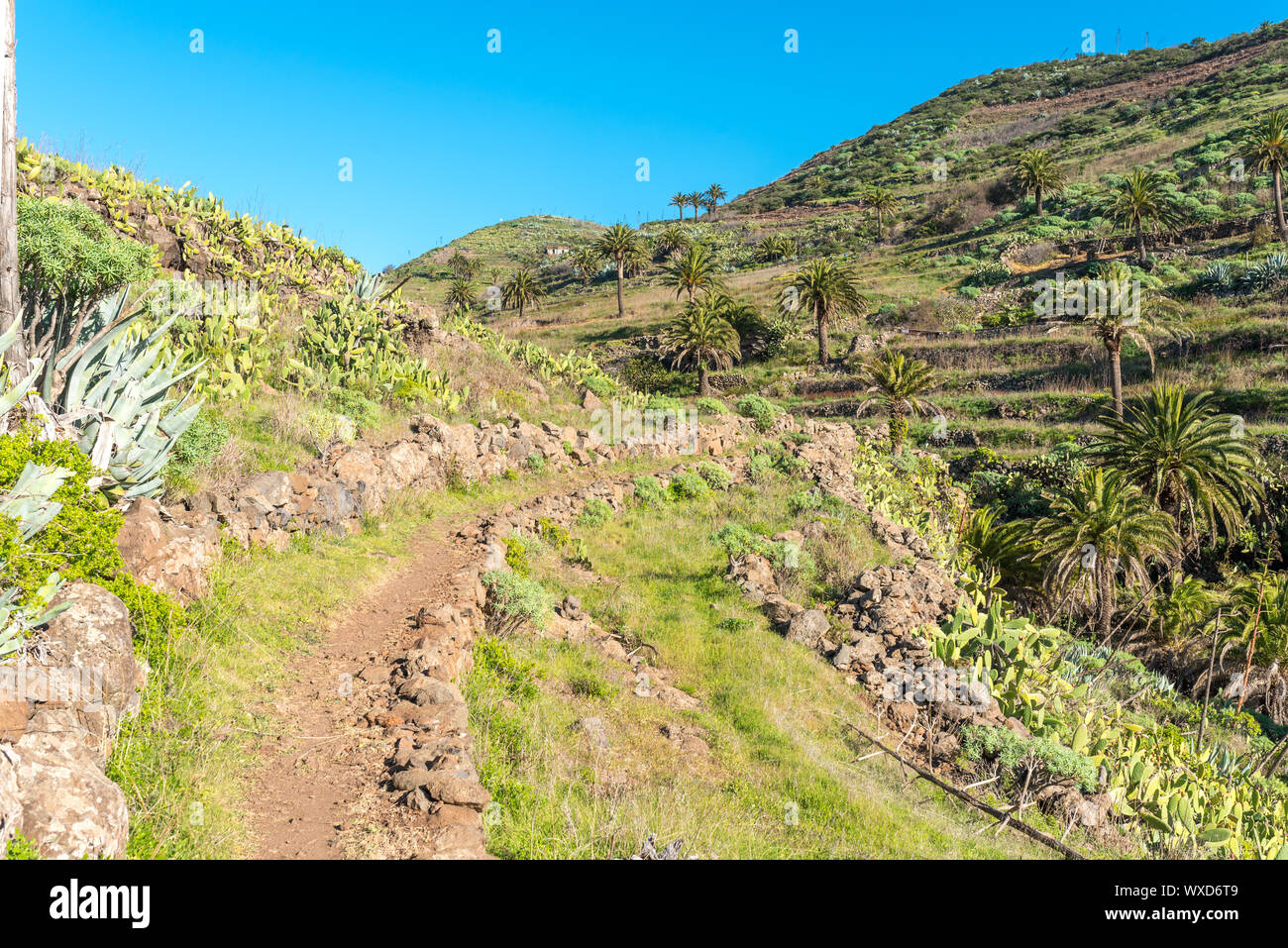 Senderismo en las montañas de La Gomera Foto de stock