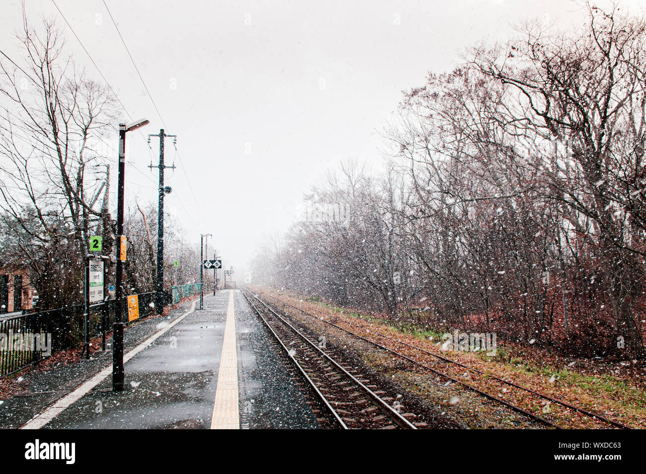 DEC 1, 2018, Japón - JR Hakodate Onuma Koen station plataforma vacía  durante la caída de nieve en invierno brumosa atmósfera y hermosa escena de  la naturaleza Fotografía de stock - Alamy