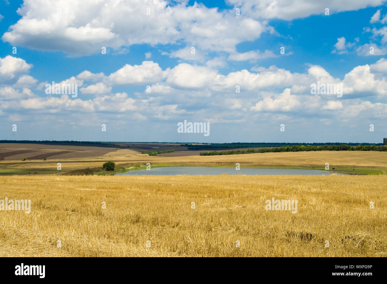 Vista de la localidad rural con un estanque y nubes en el fondo Foto de stock