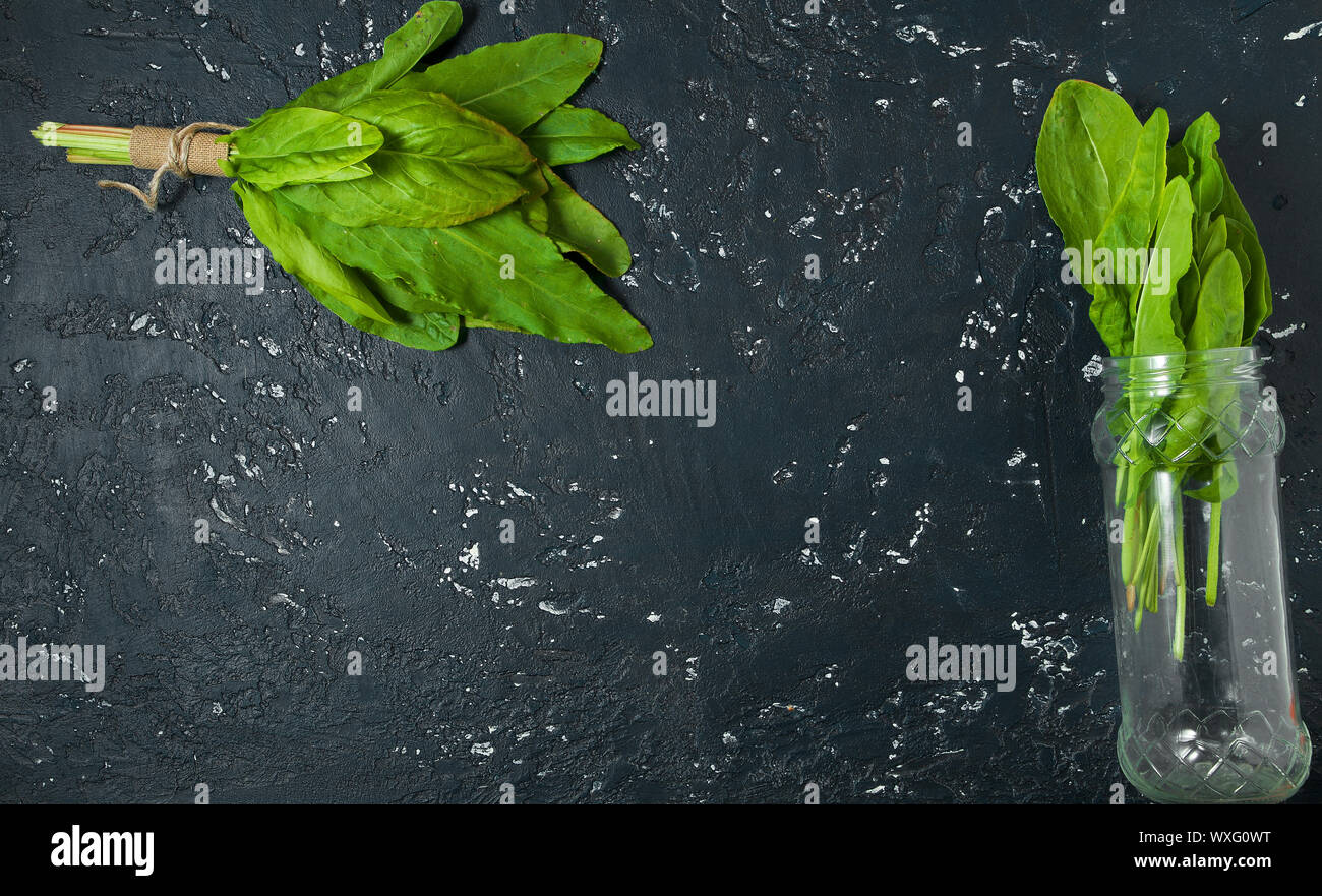 Acedera verde. Acedera frescas hojas sobre una superficie oscura. Vista desde arriba. Espacio de copia Foto de stock