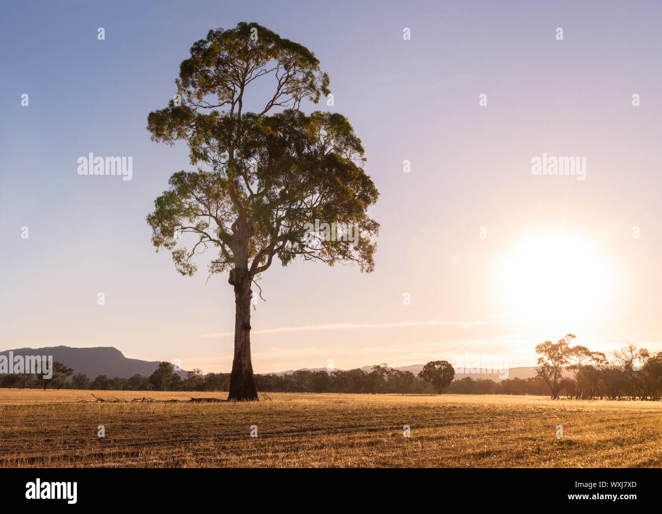 Parque Nacional Grampians, Victoria, Australia Foto de stock