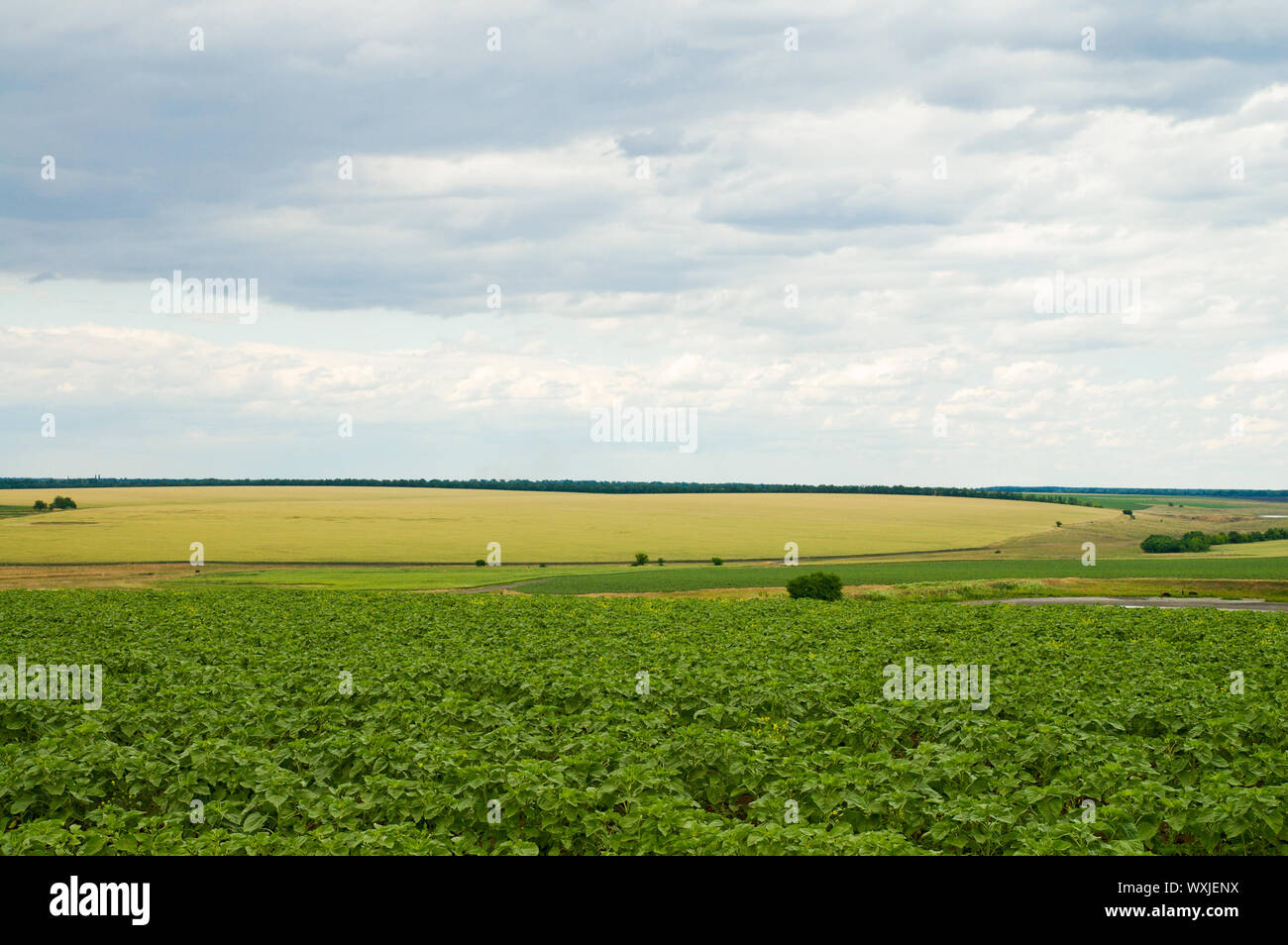 Vista de la localidad rural de nubes en el fondo Foto de stock