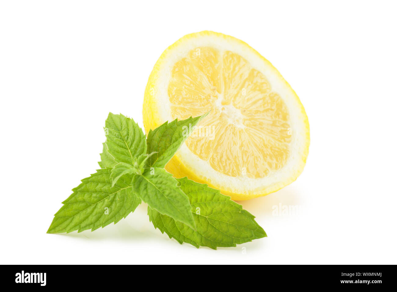Limón con hojas de menta sobre fondo blanco. Foto de stock