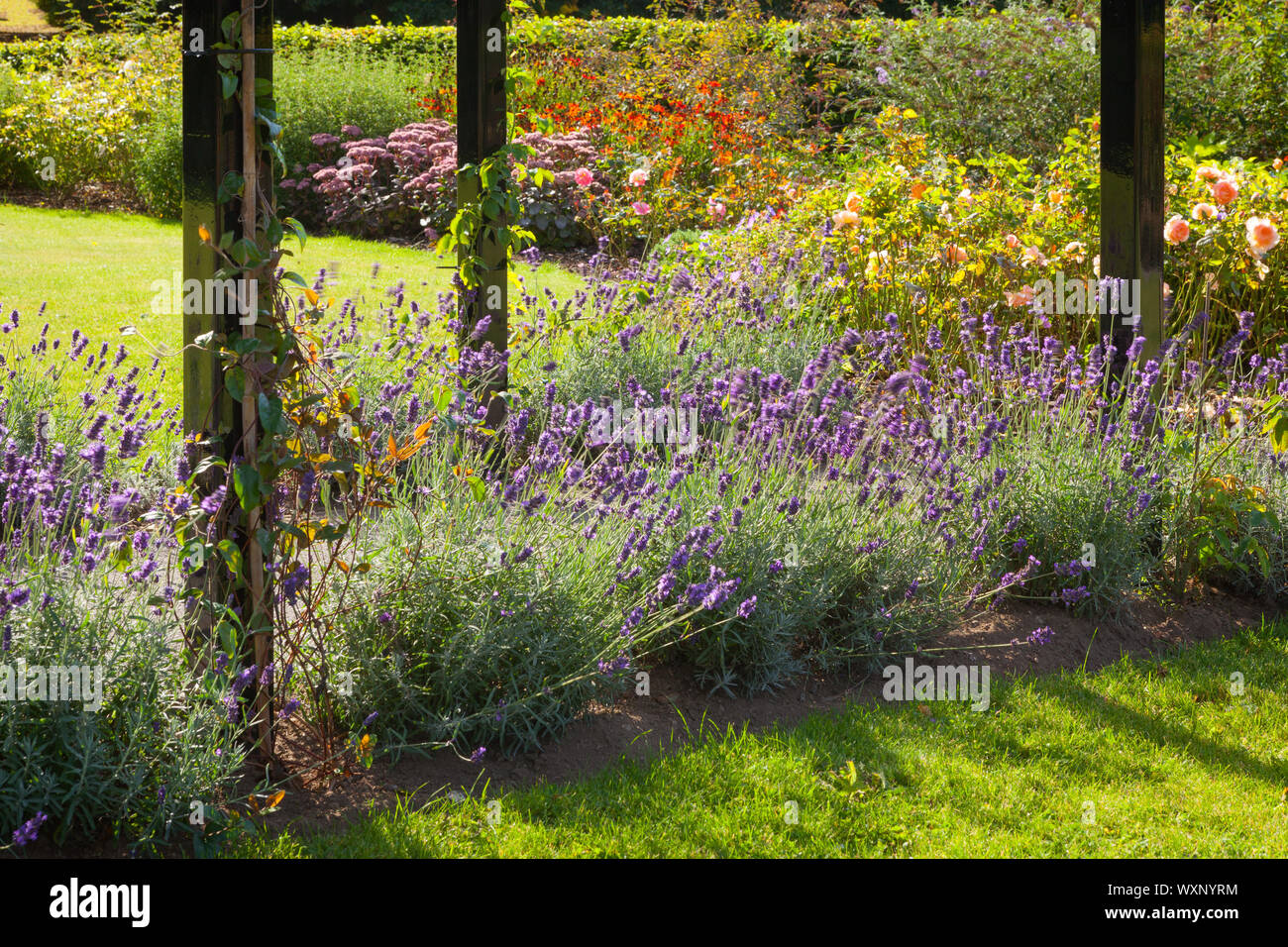 Barton-upon-Humber, Norte de Lincolnshire, Reino Unido. 17 de septiembre de 2019. El clima del Reino Unido: el Chad Varah Memorial Garden en Baysgarth Park, en una soleada mañana de septiembre a principios de otoño. Crédito: LEE BEEL/Alamy Live News. Foto de stock